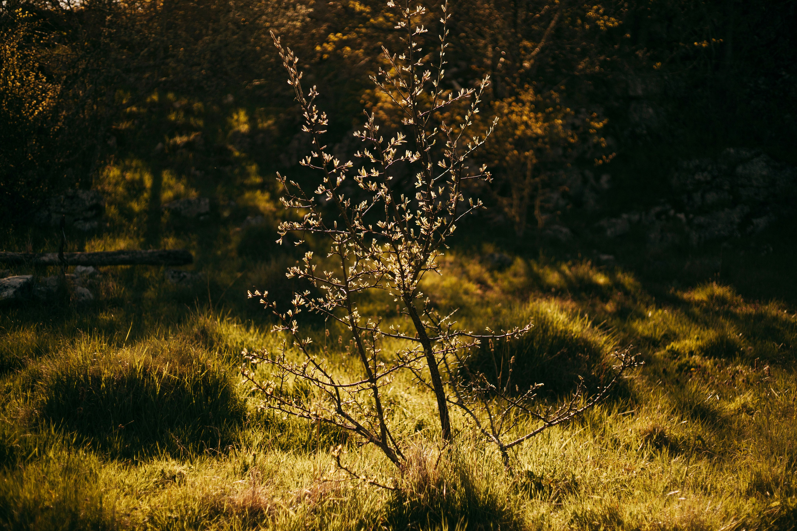 МореНебоОблака. Ваш портретный фотограф в Москве Катя Прокофьева