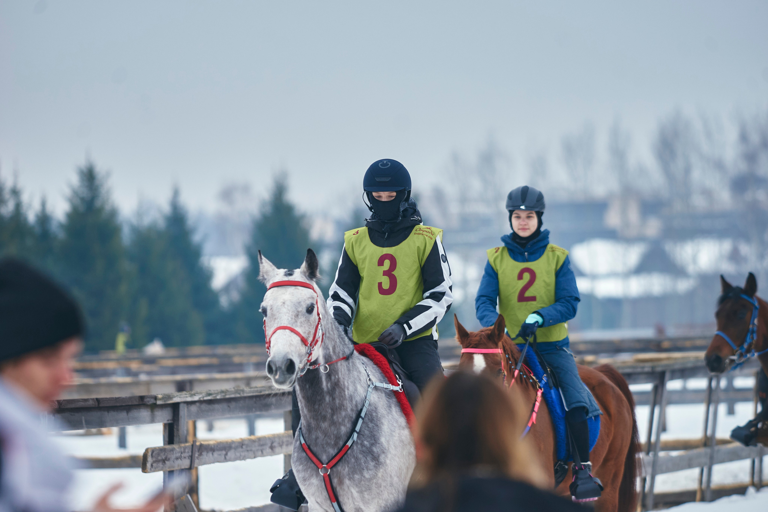 HORSE RACING. Фотограф Наталья Леонова