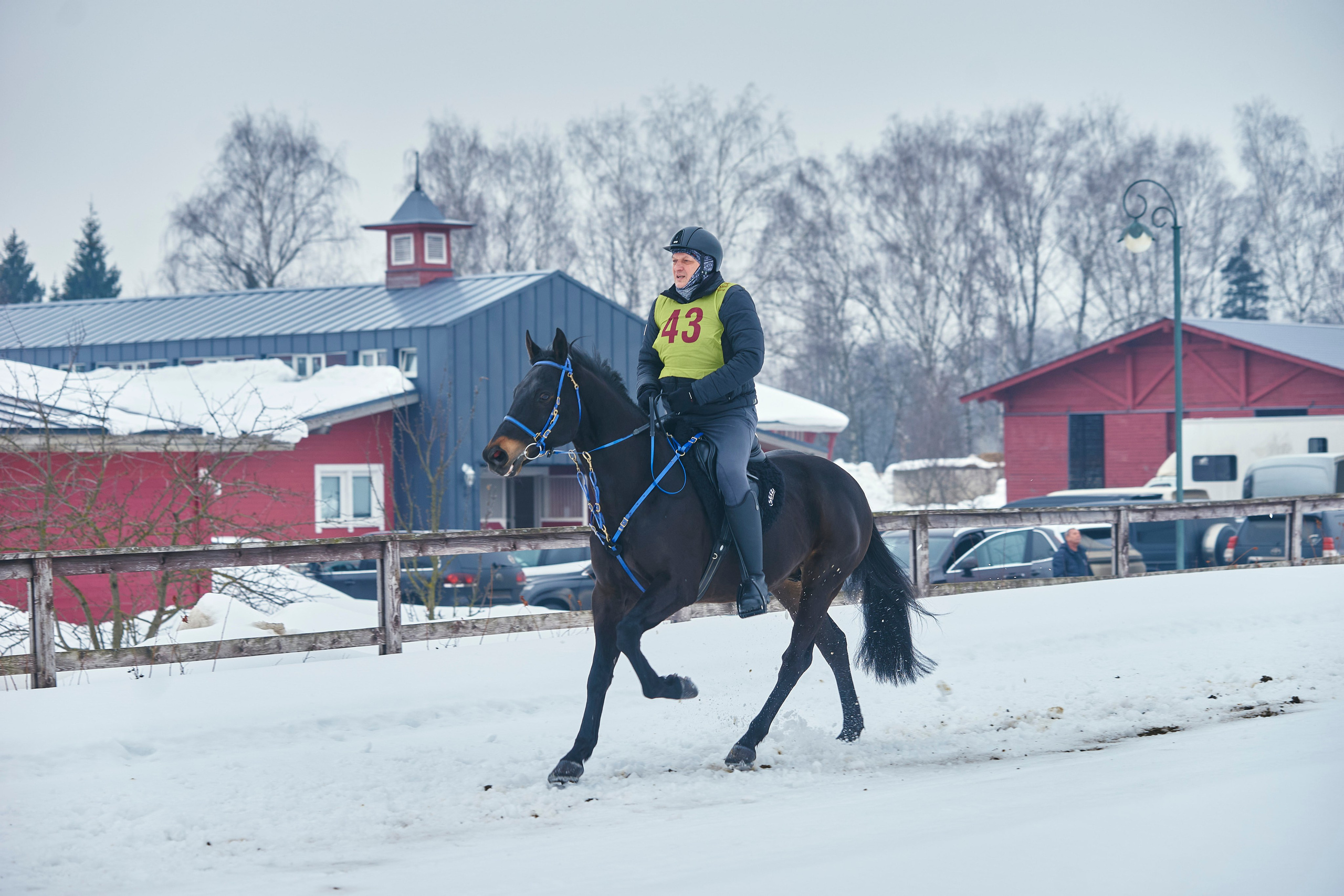 HORSE RACING. Фотограф Наталья Леонова