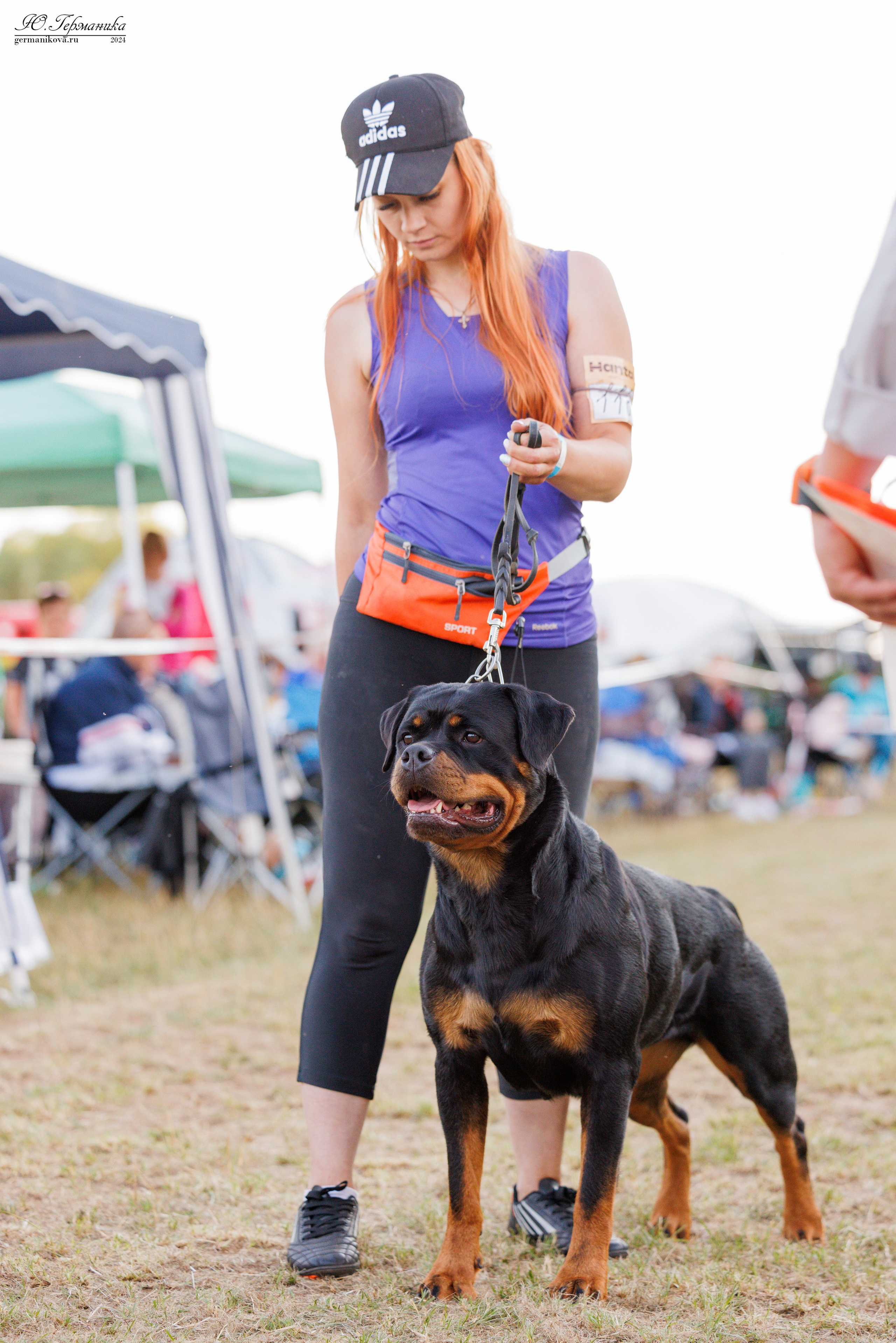 ПК и КЧК ротвейлеры Тверь 6-7.07.2024. Фотограф-анималист Юлия Германика