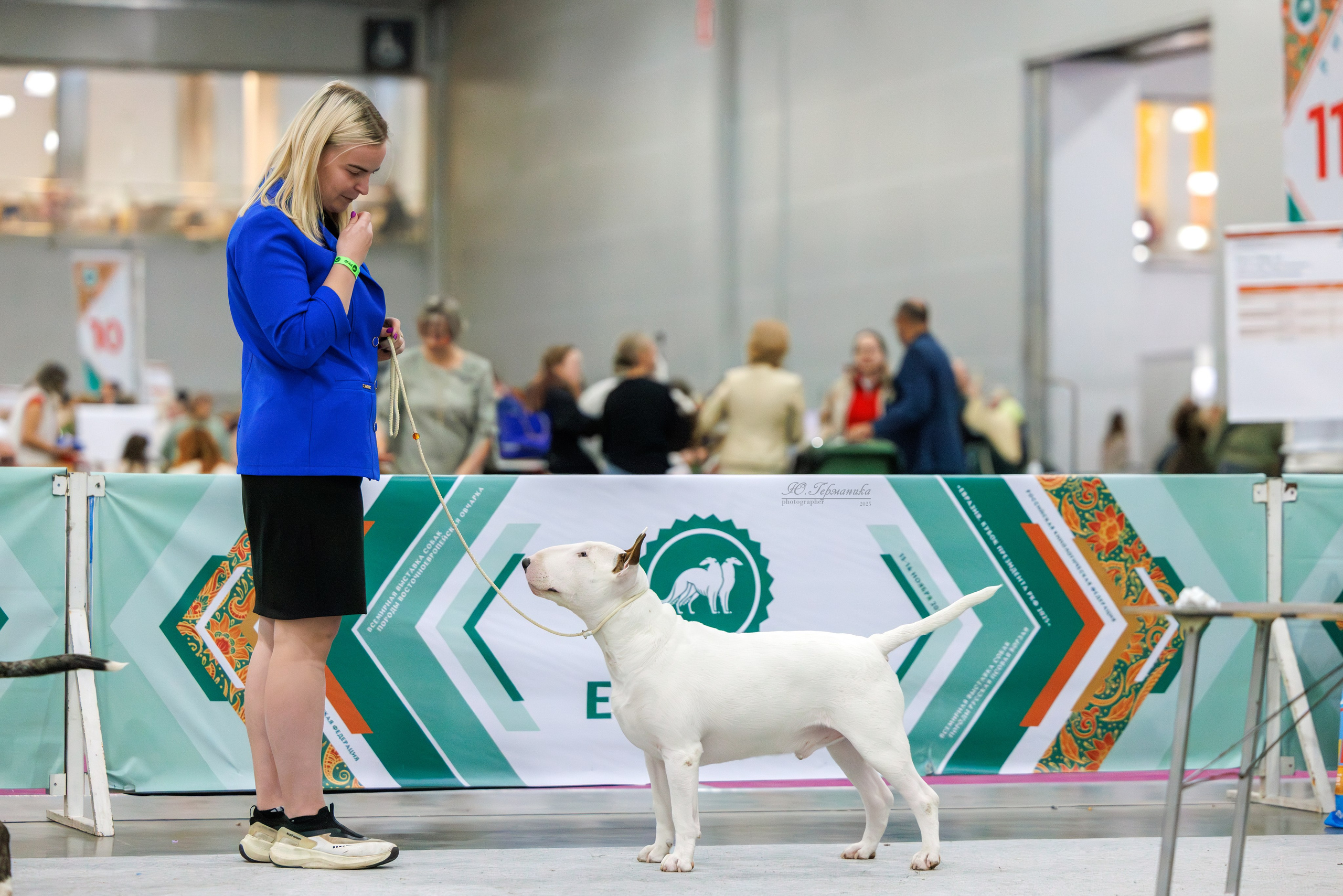 Евразия 15-16.11.2025. Фотограф-анималист Юлия Германика