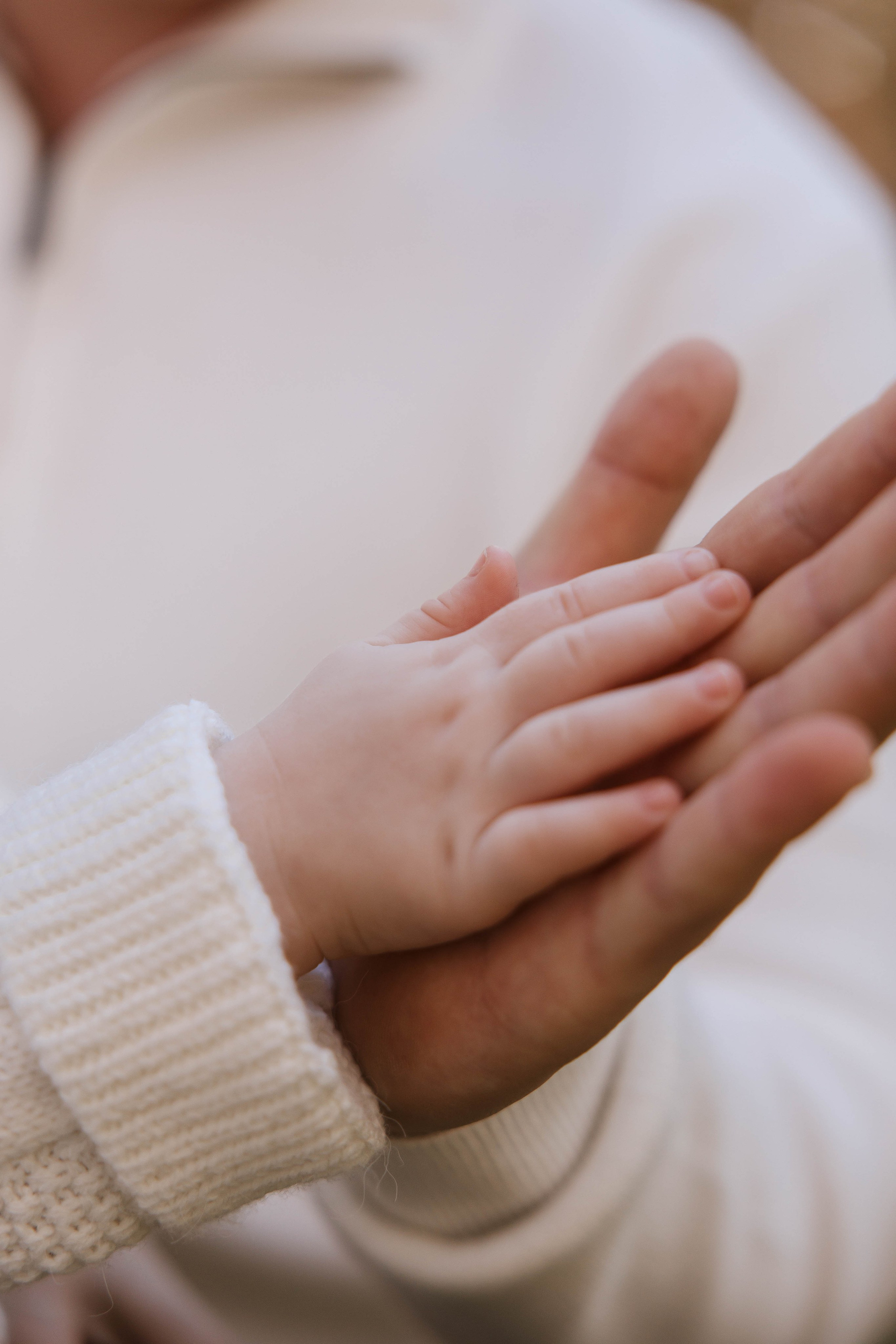 Богдан. Главная