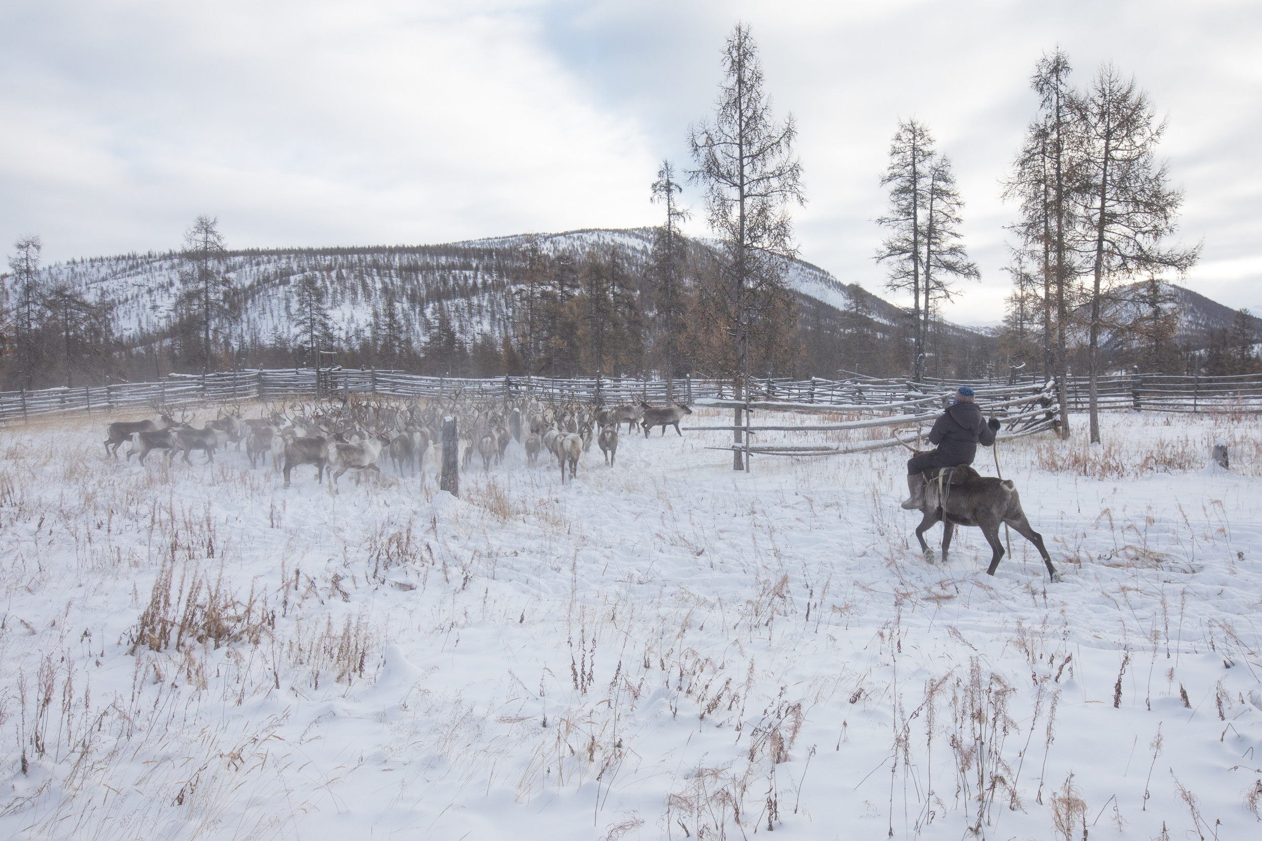 Не забудь накормить озеро. Natalya Madilyan