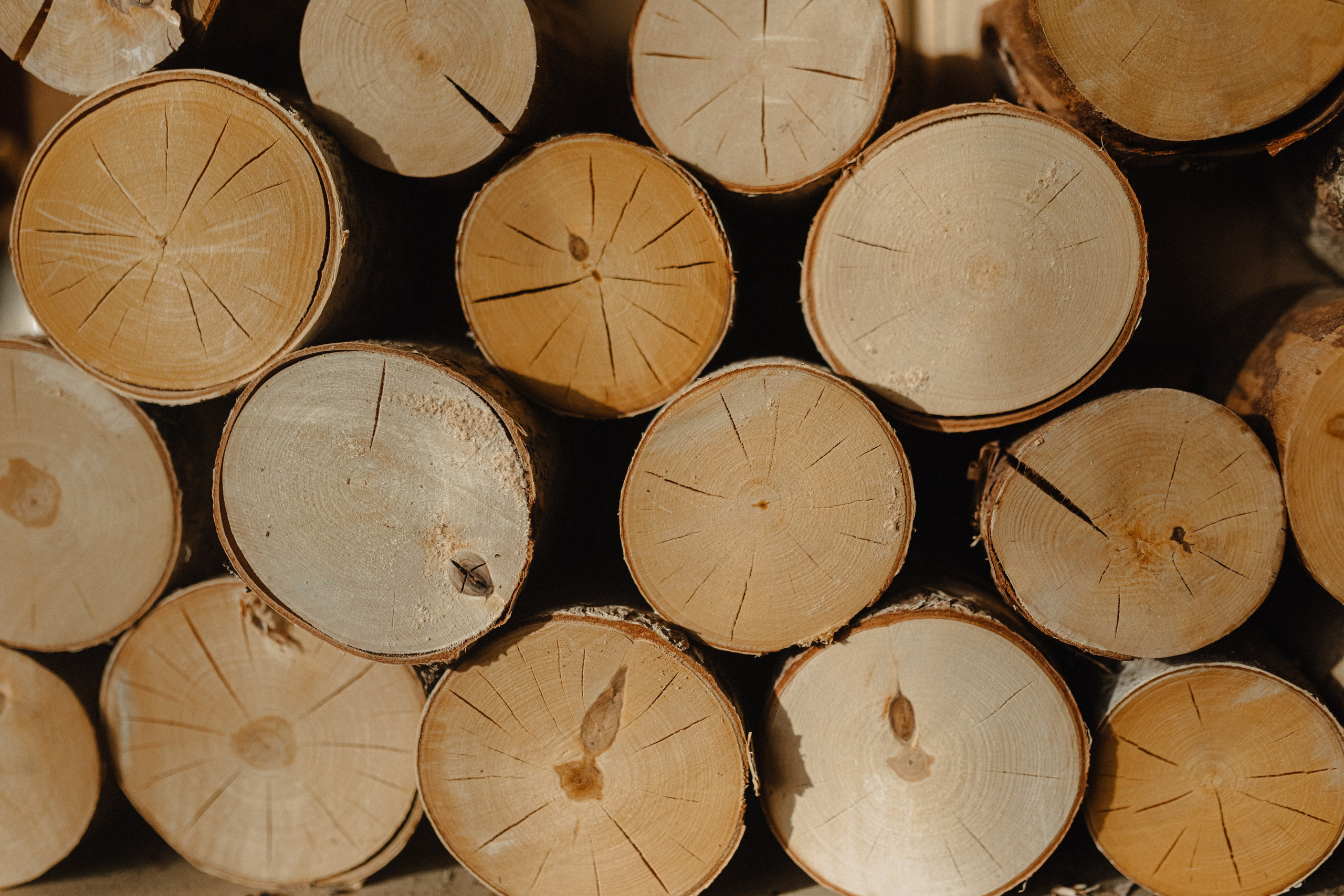 Свадьба Алины и Вадима. Свадебный и семейный фотограф Женя Добрянская в Нижнем Новгороде