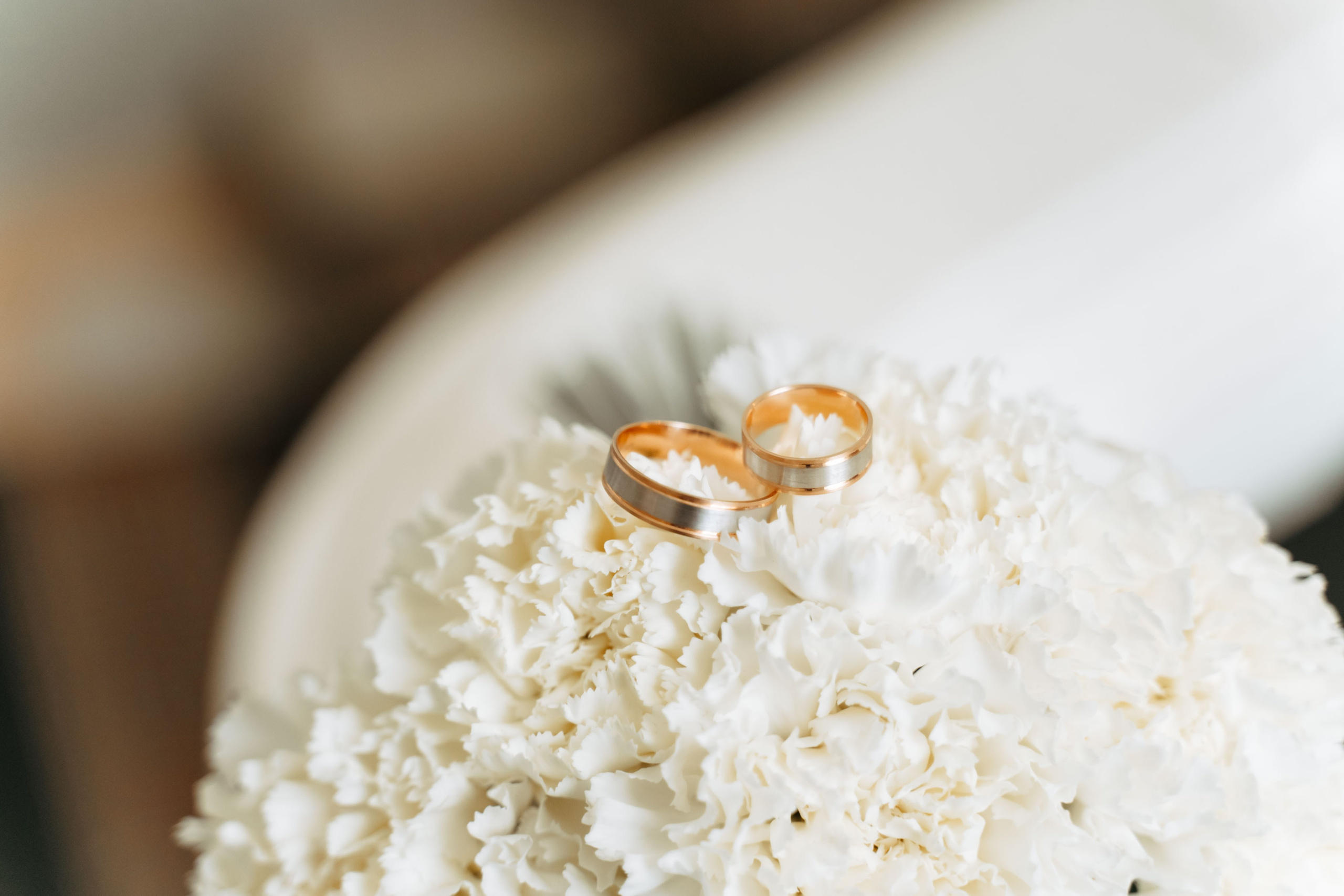 София и Александр. Семейный фотограф Новочеркасск