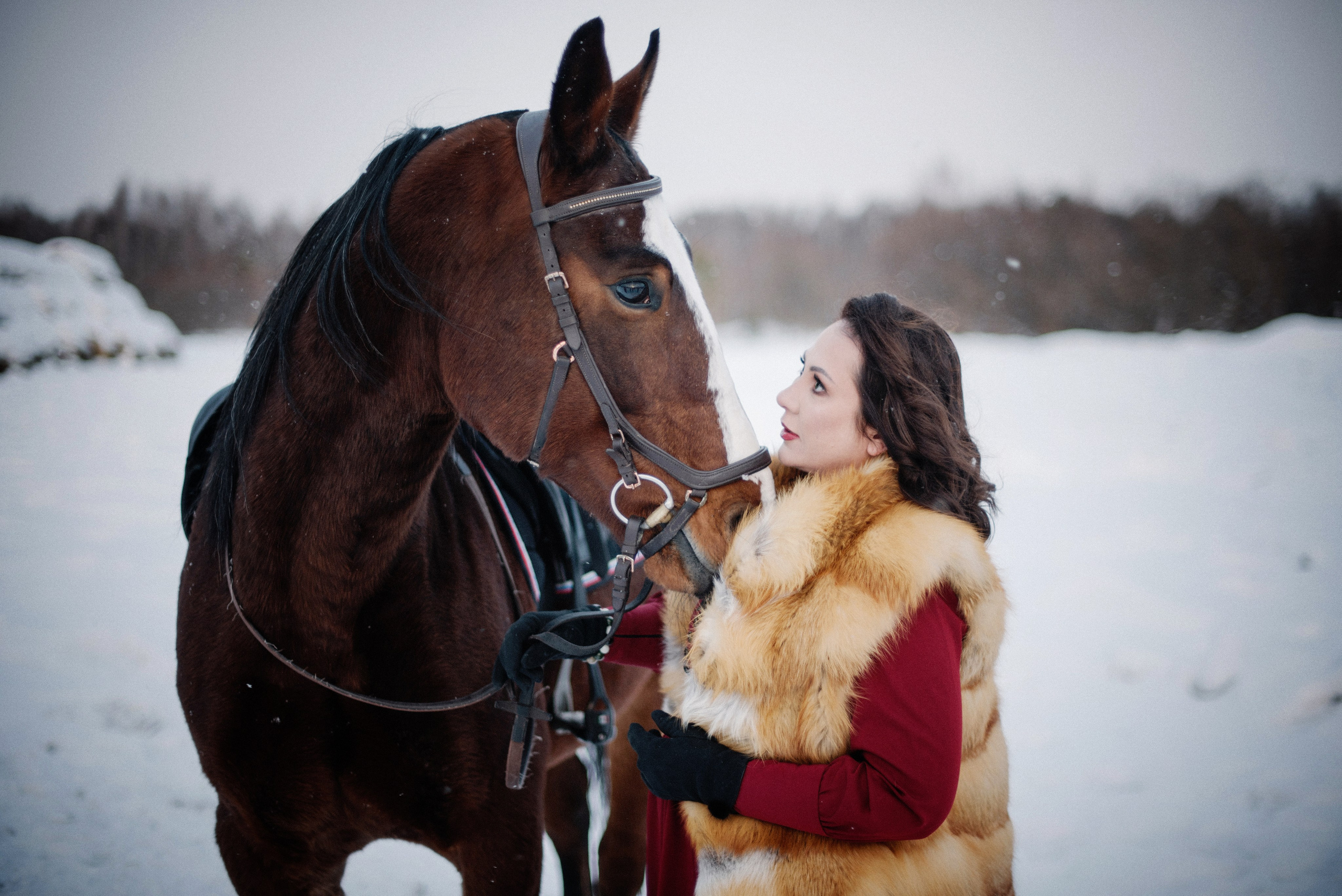 Фото СИМВОЛ ГОДА 2026 от Натальи. ФОТОПРОЕКТЫ