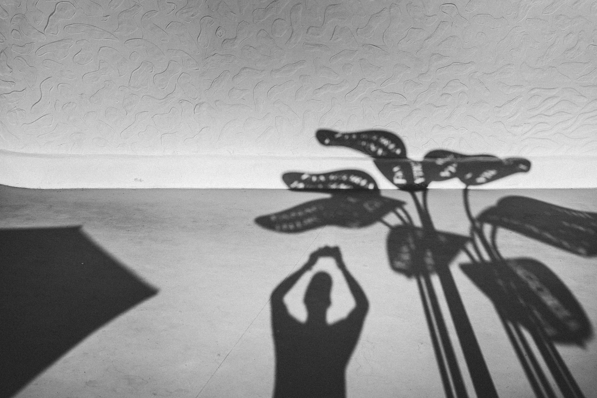 Фотограф Николай Владимиров