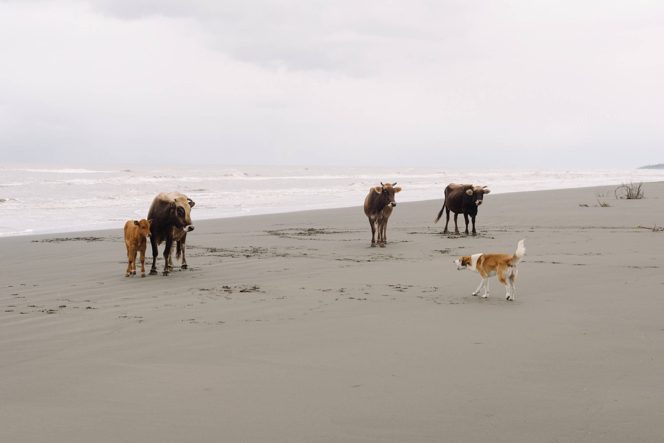 Самур биологи. Фотограф Алиса Калинина