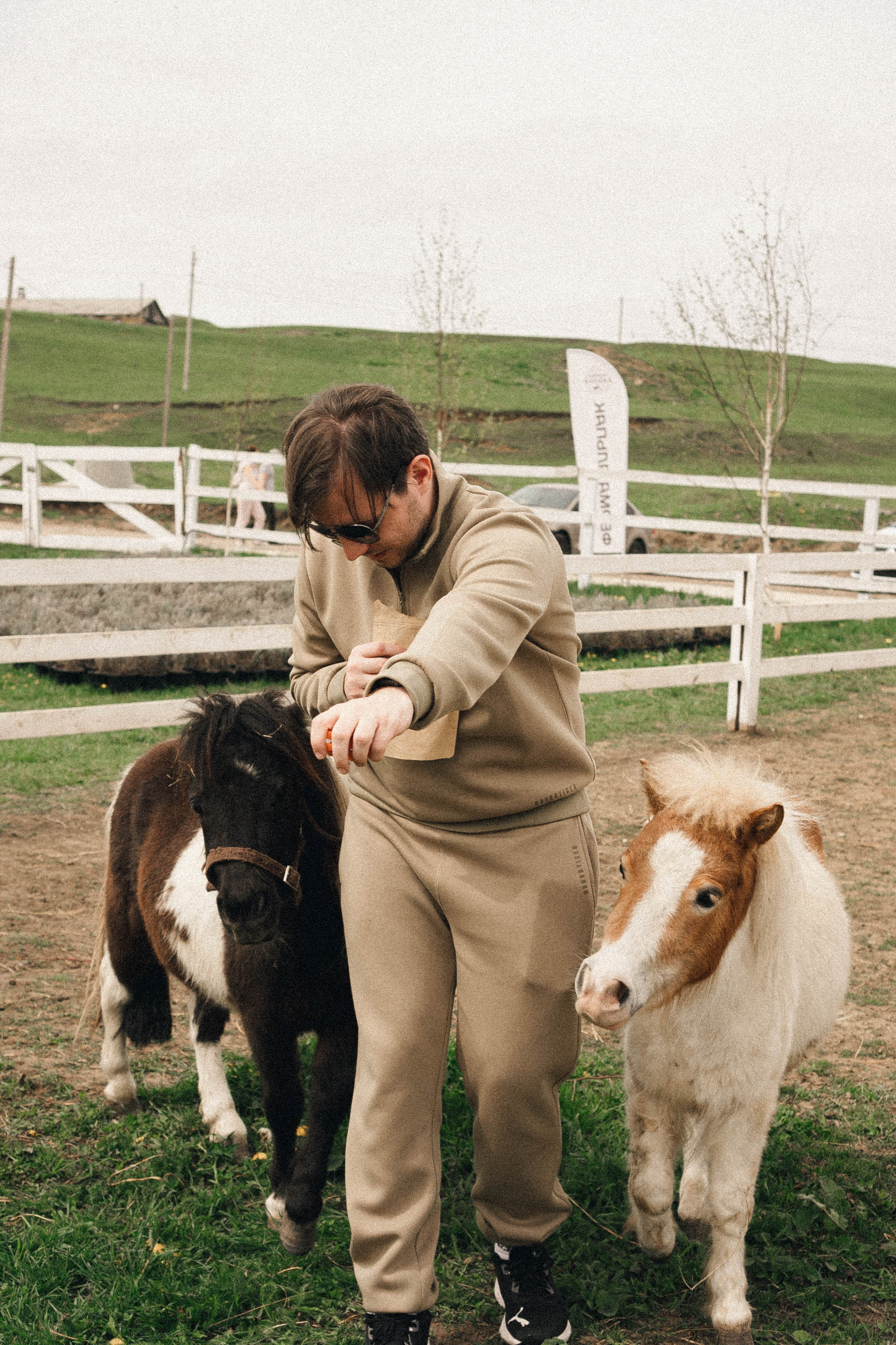 Ферма Альпак. Профессиональный фотограф, Санкт-Петербург — Виктория Богомолова