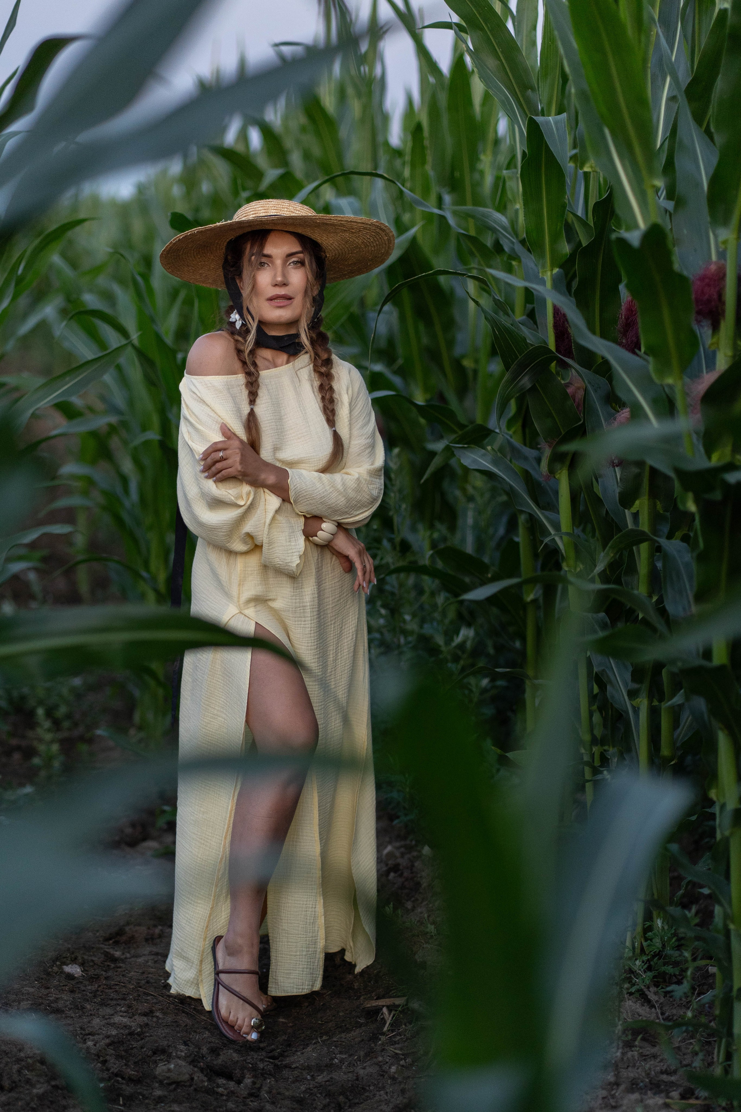 Кукурузное поле. Главная