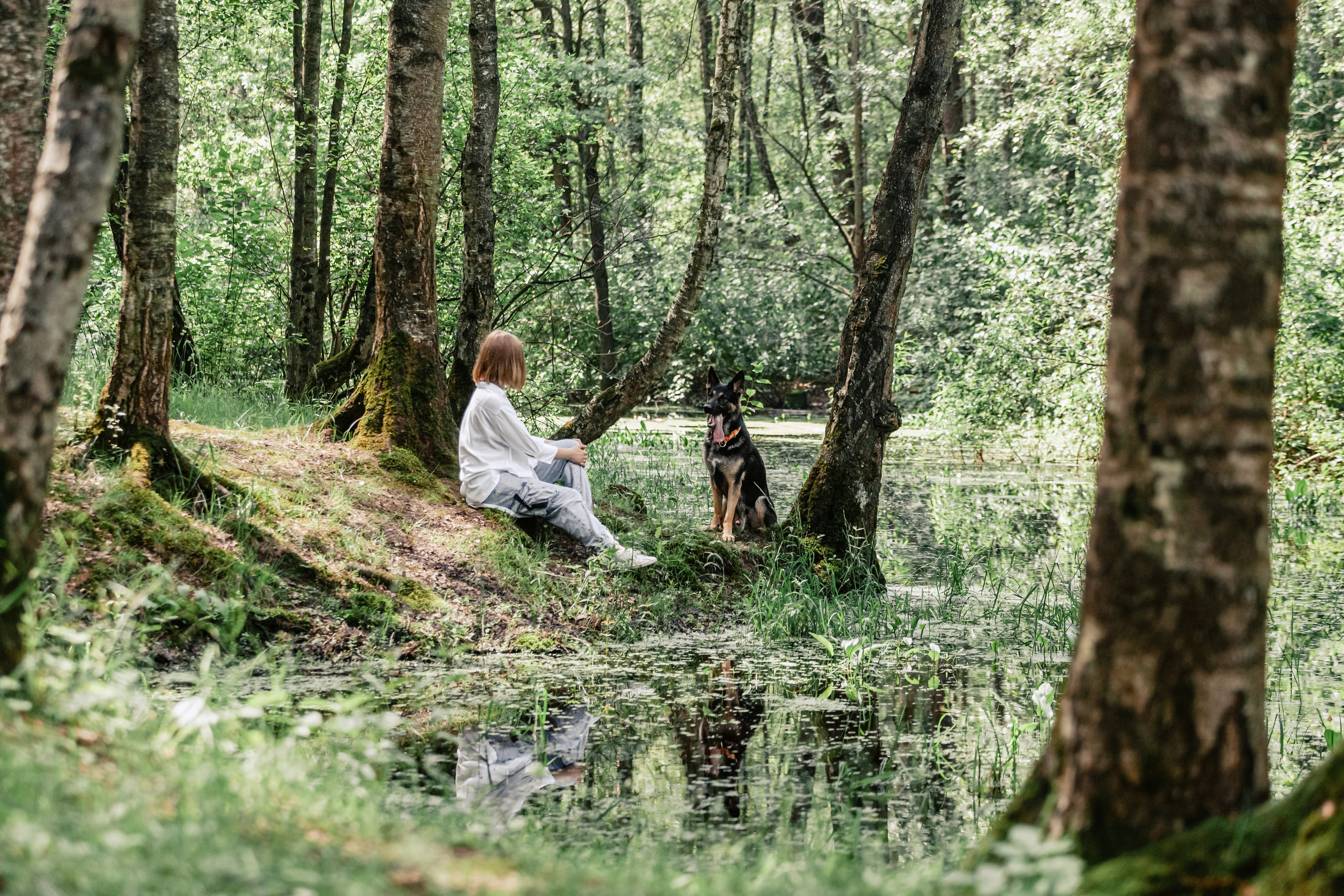Лесная летняя фотопрогулка. Фотограф-анималист Татьяна Степанова