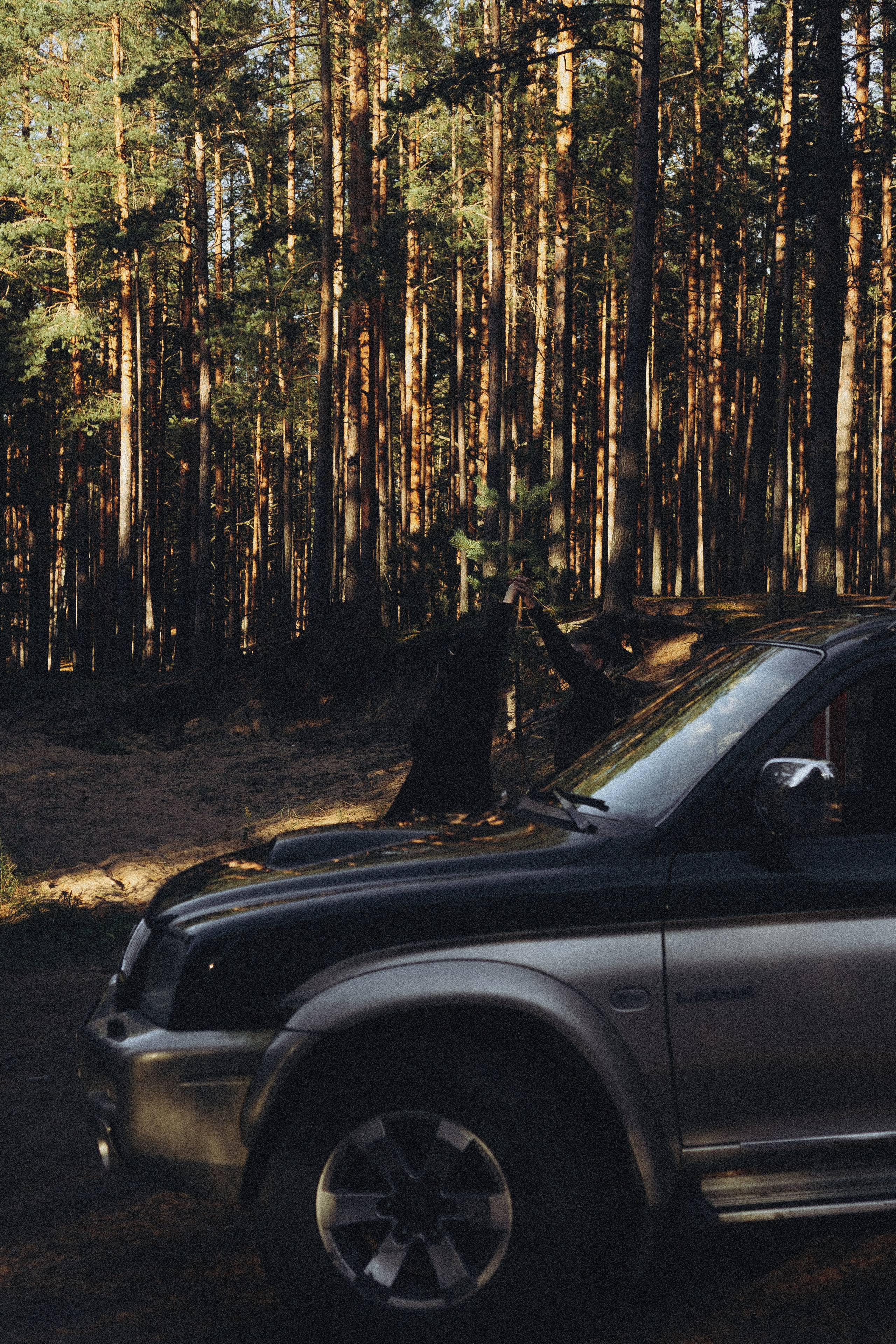Прогулка по Финскому заливу. Профессиональный фотограф, Санкт-Петербург — Виктория Богомолова