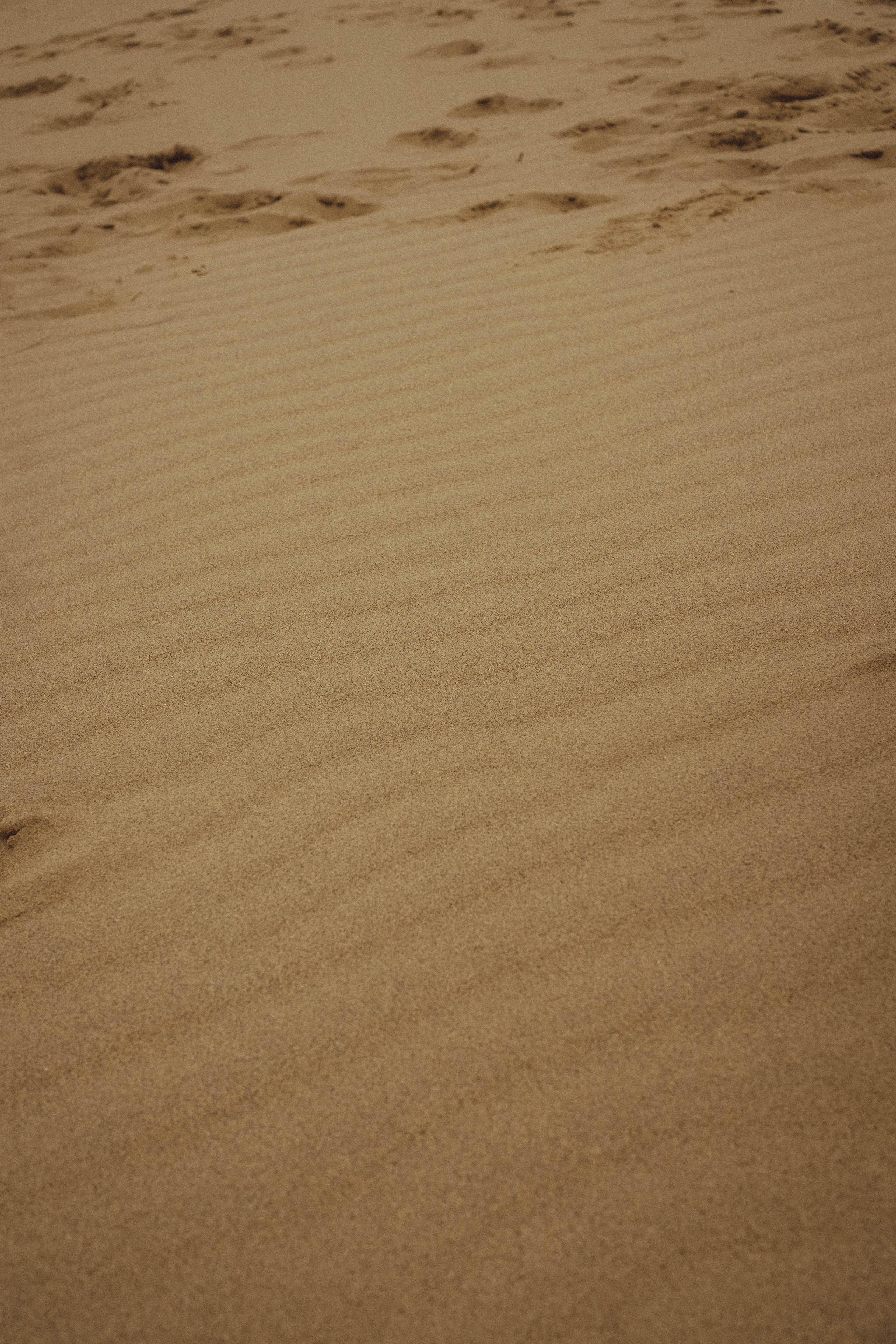 Кавказ. Профессиональный фотограф, Санкт-Петербург — Виктория Богомолова