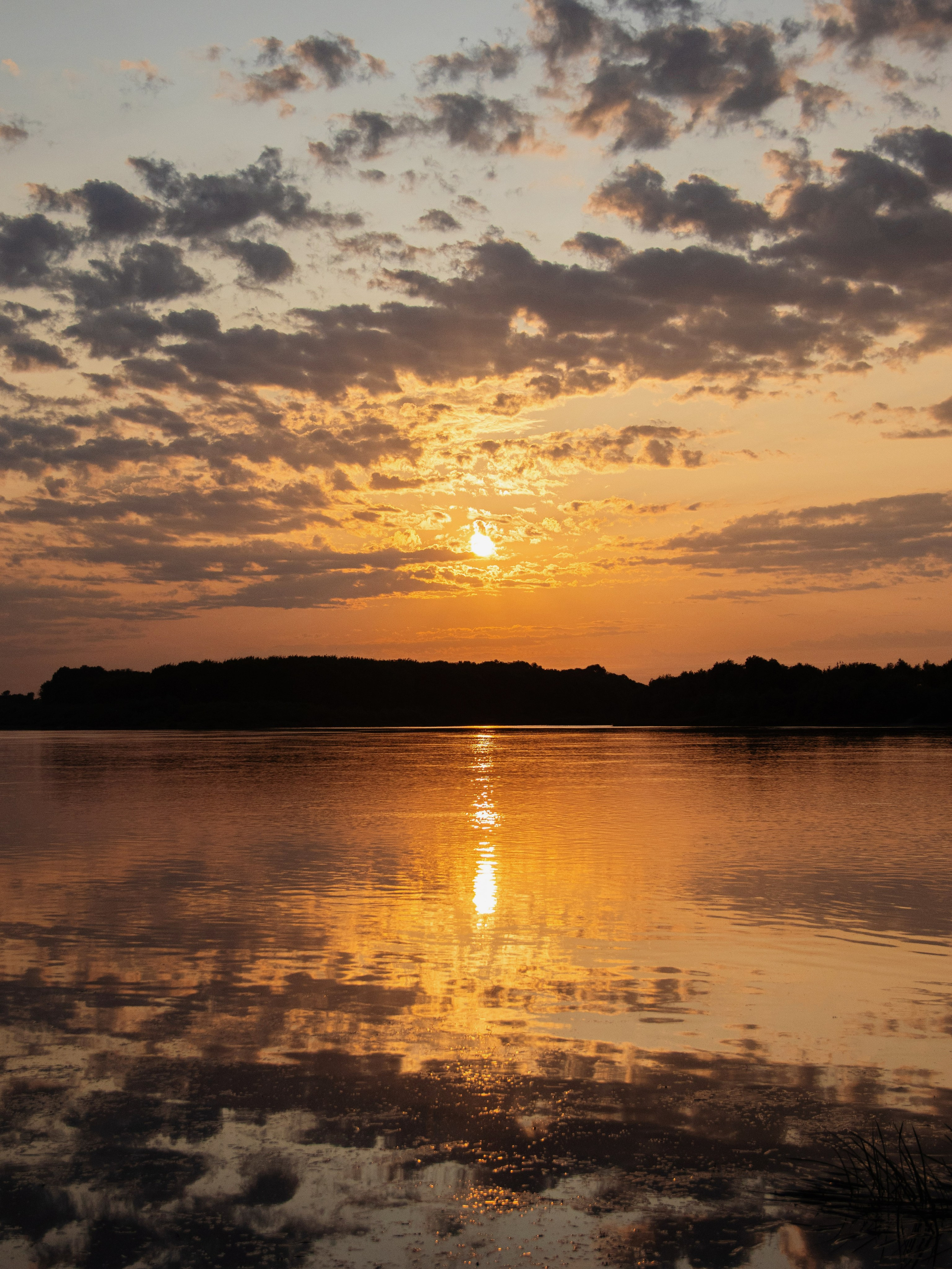 Жидкое золото. С любовью, фотохудожник