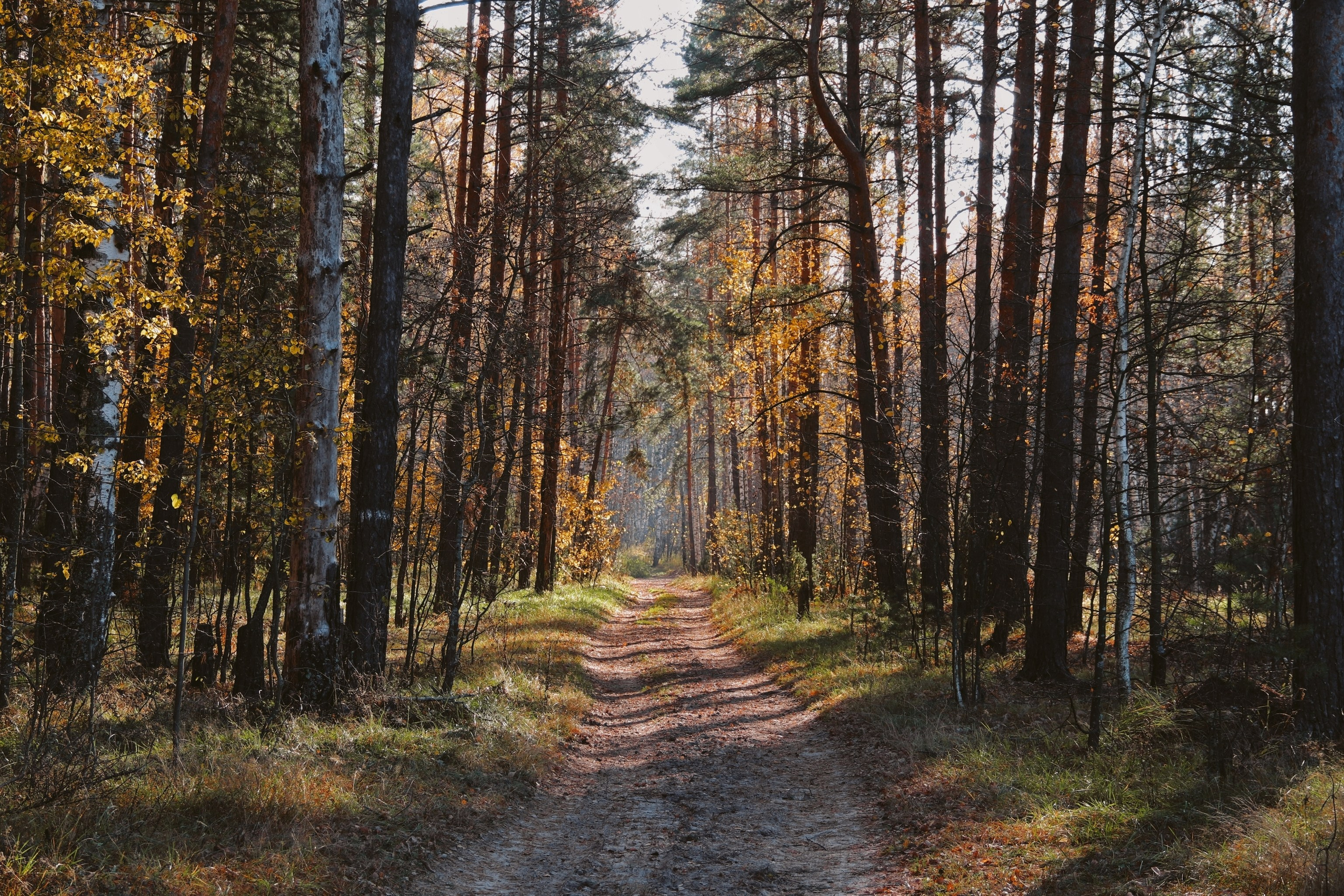 По тропе Паустовского. С любовью, фотохудожник