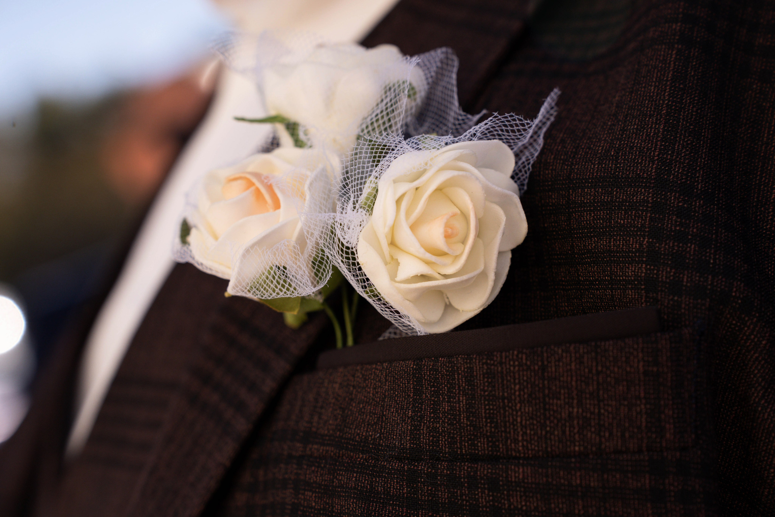 Сергей и Виолетта. СВАДЕБНЫЙ ФОТОГРАФ КРАСНОДАР