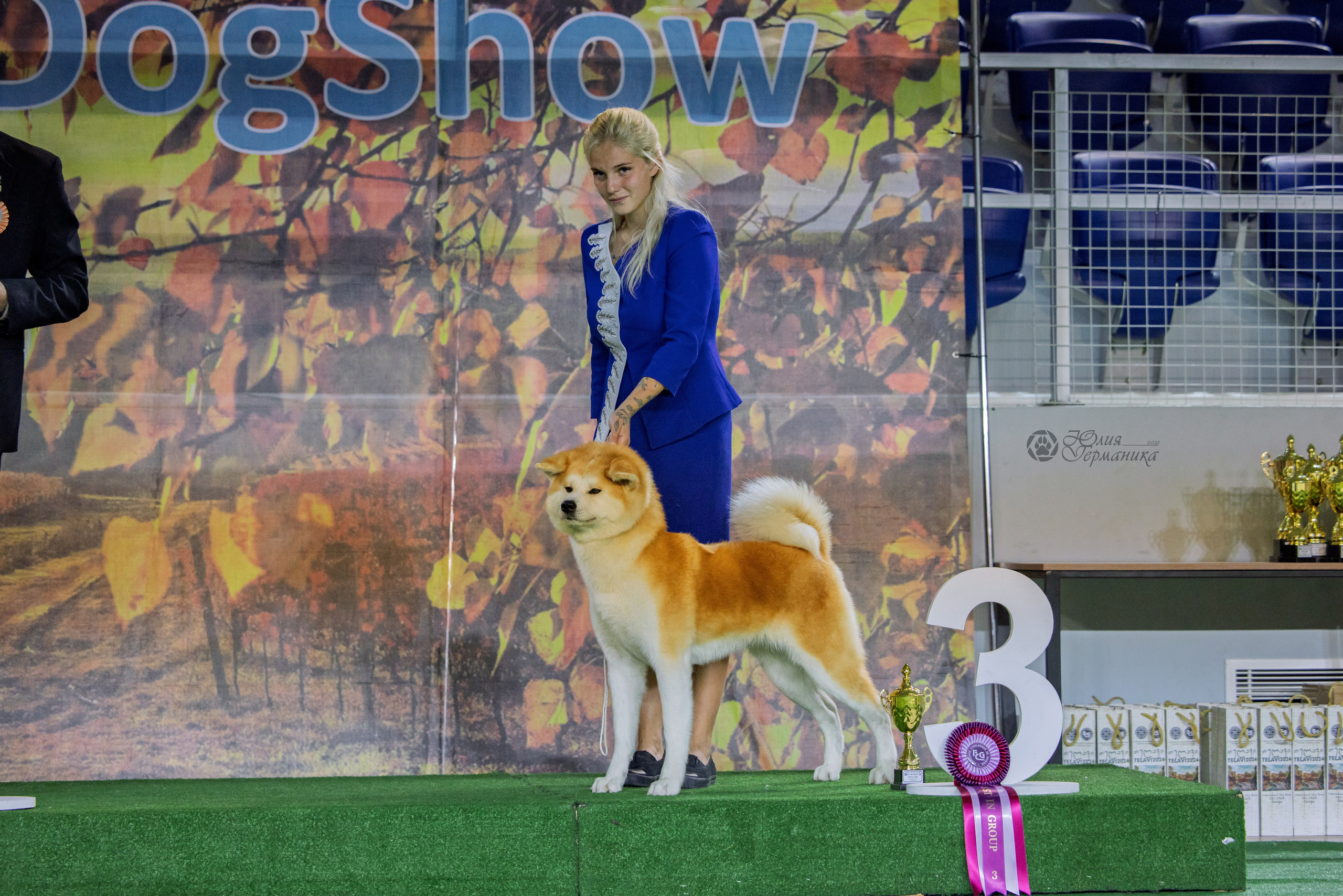 Грузия,Телави 2хCACIB 19-20.10.2024. Фотограф-анималист Юлия Германика