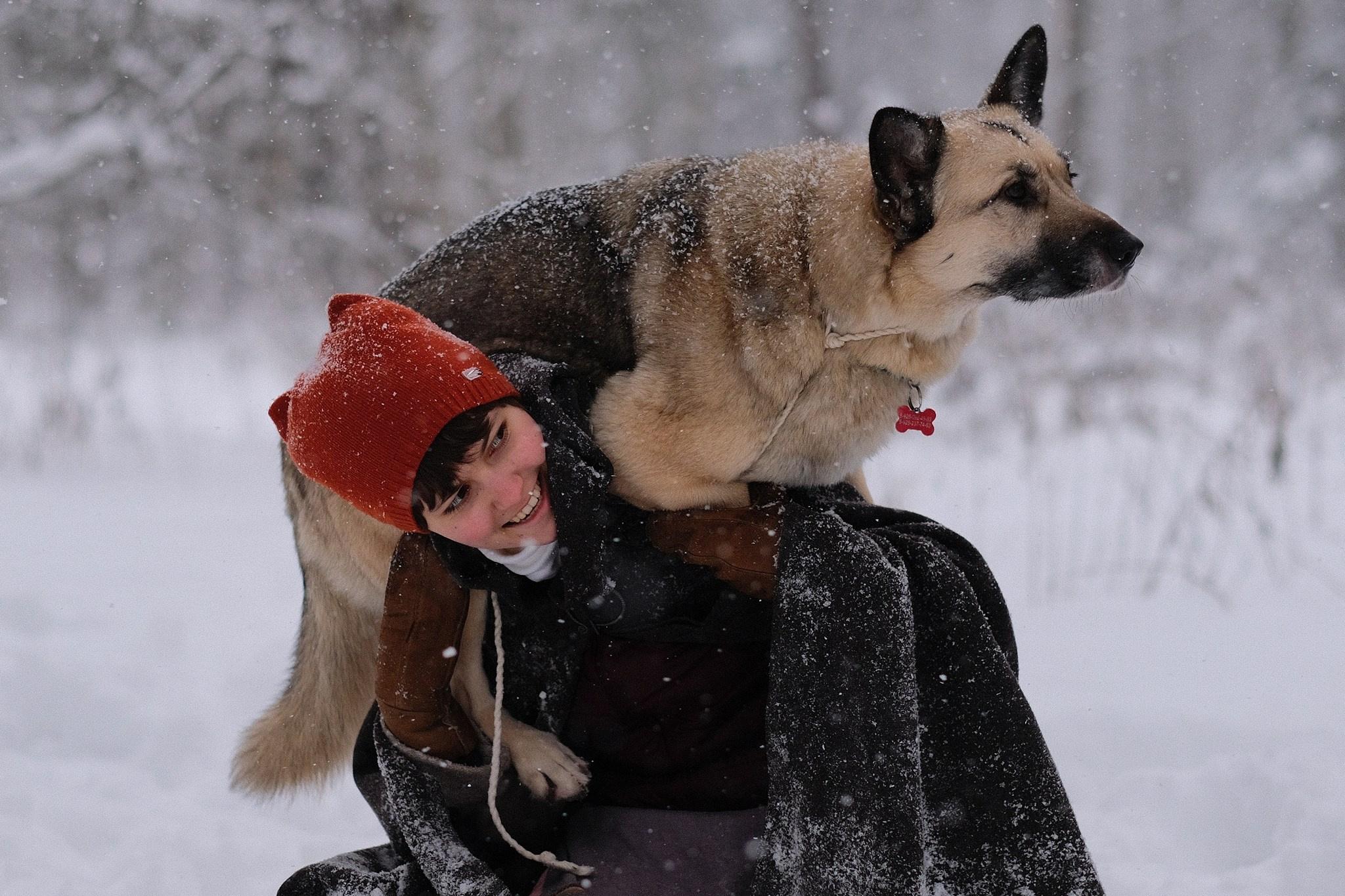 Герда, Лиса и их люди. Дмитрий Бречалов