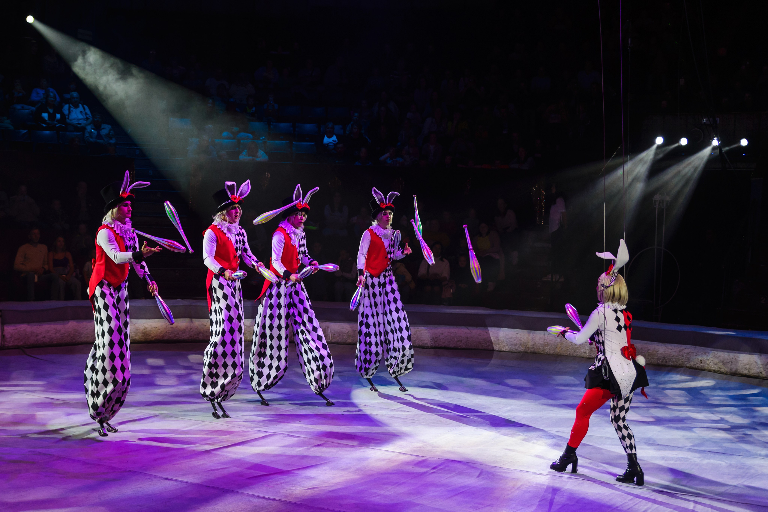Пермский государственный цирк. Фотограф в Ханты-Мансийске Евгений Жуланов