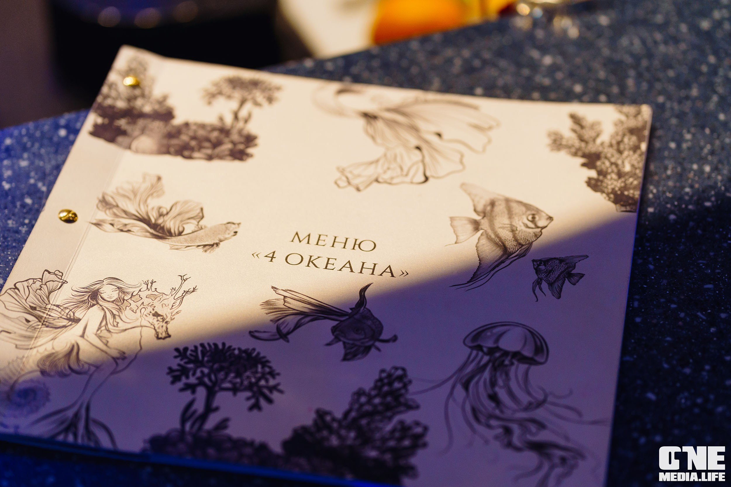 Фоторепортаж из ресторана Океан. One Media Life: фоторепортажи, фотоотчеты с мероприятий и заведений