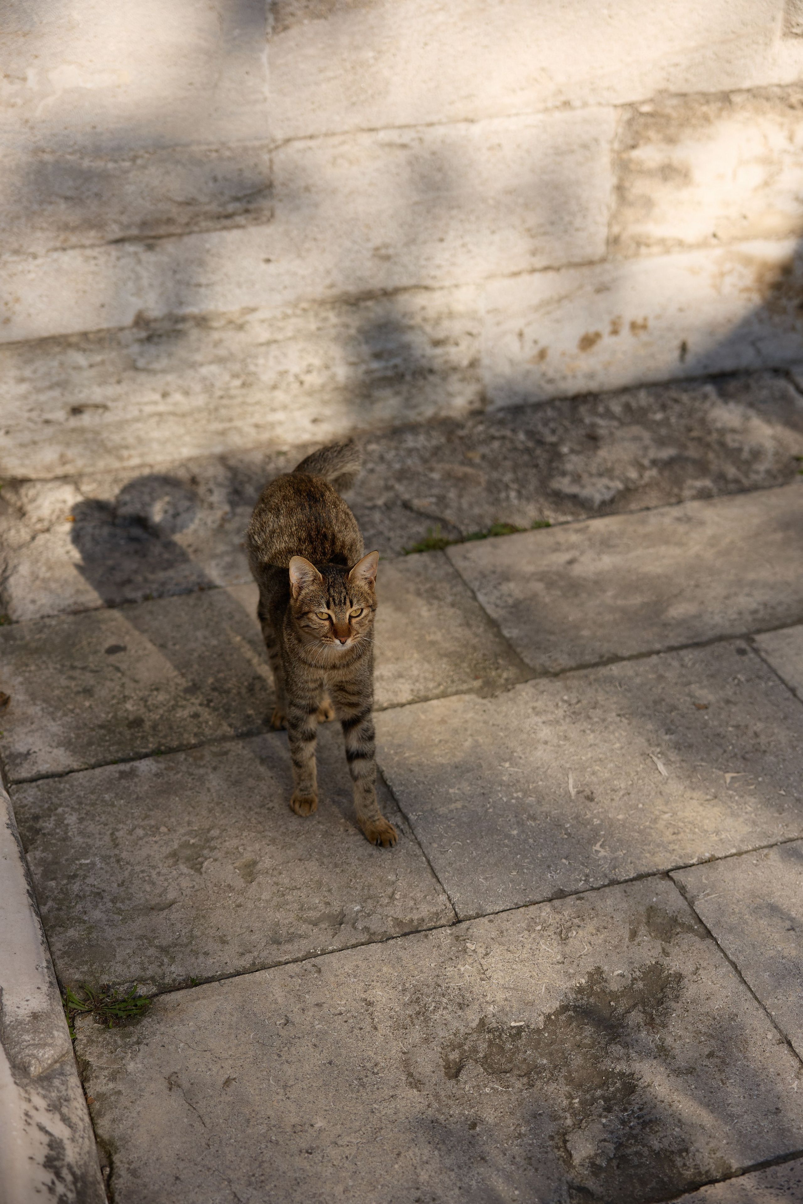 Стамбул 24. Фотограф Москва, Дима Пеллер