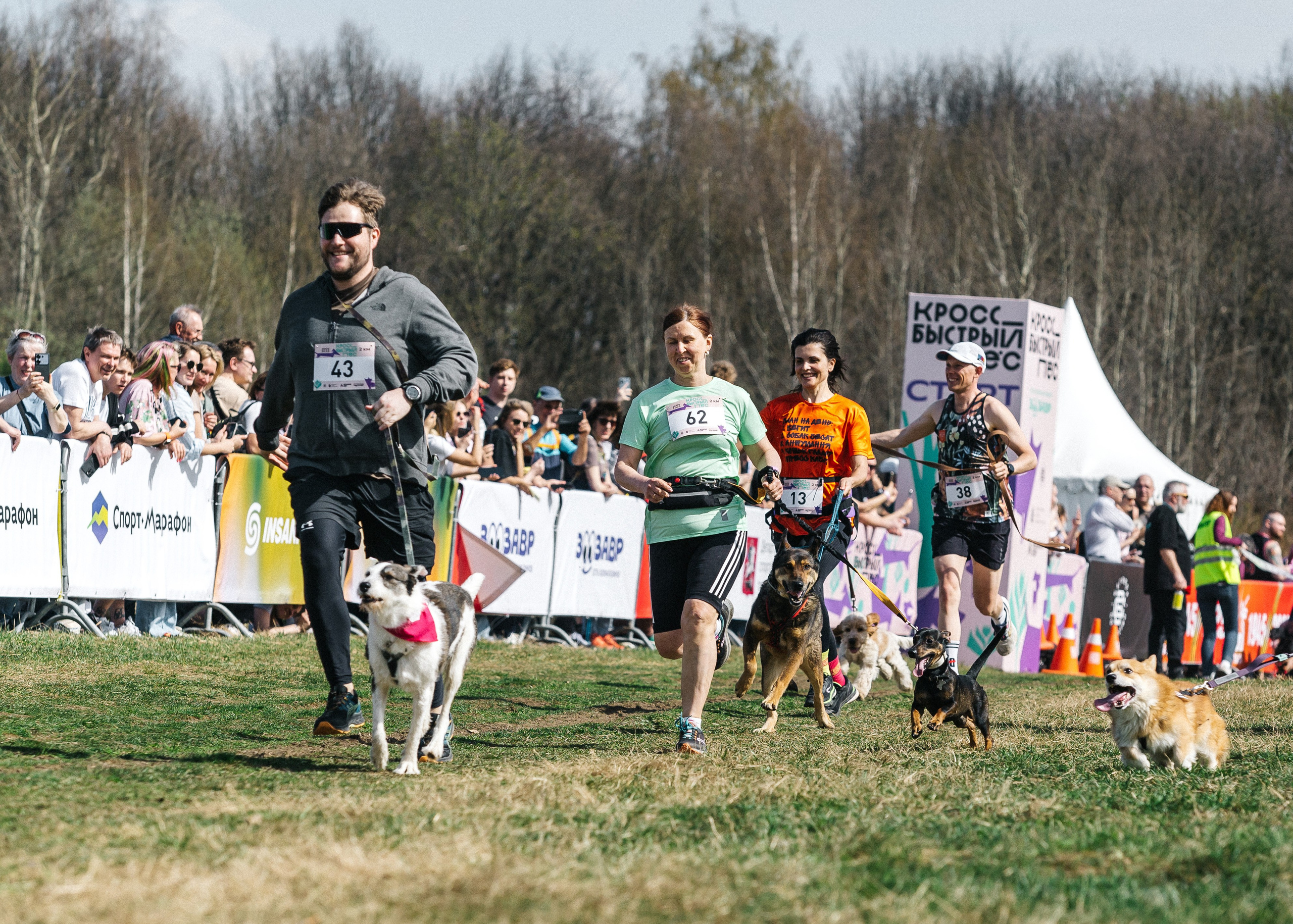 Кросс «Быстрый пёс» 2025. Репортажный фотограф в Москве
