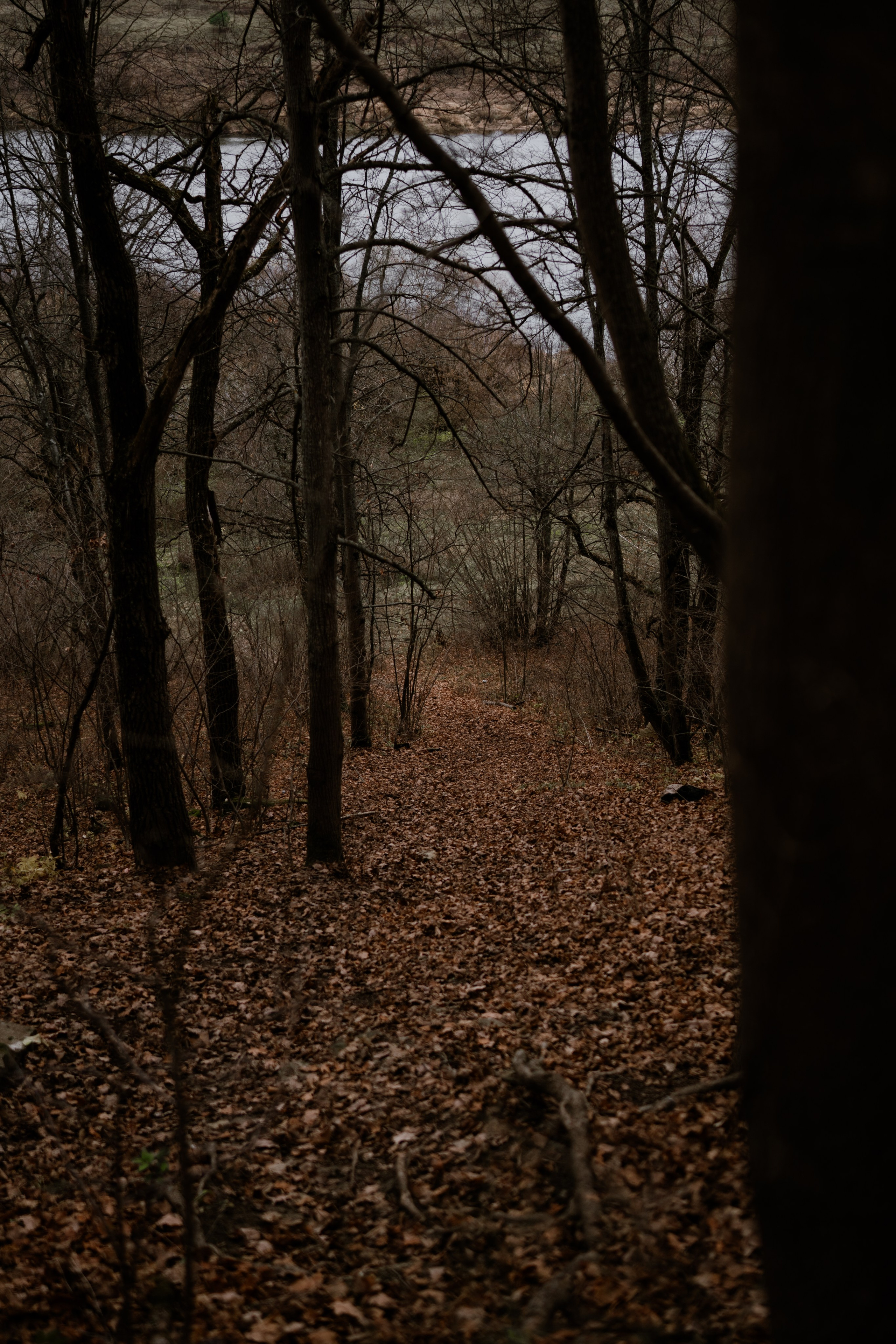 Кольцовские пещеры. Vlad Trykov