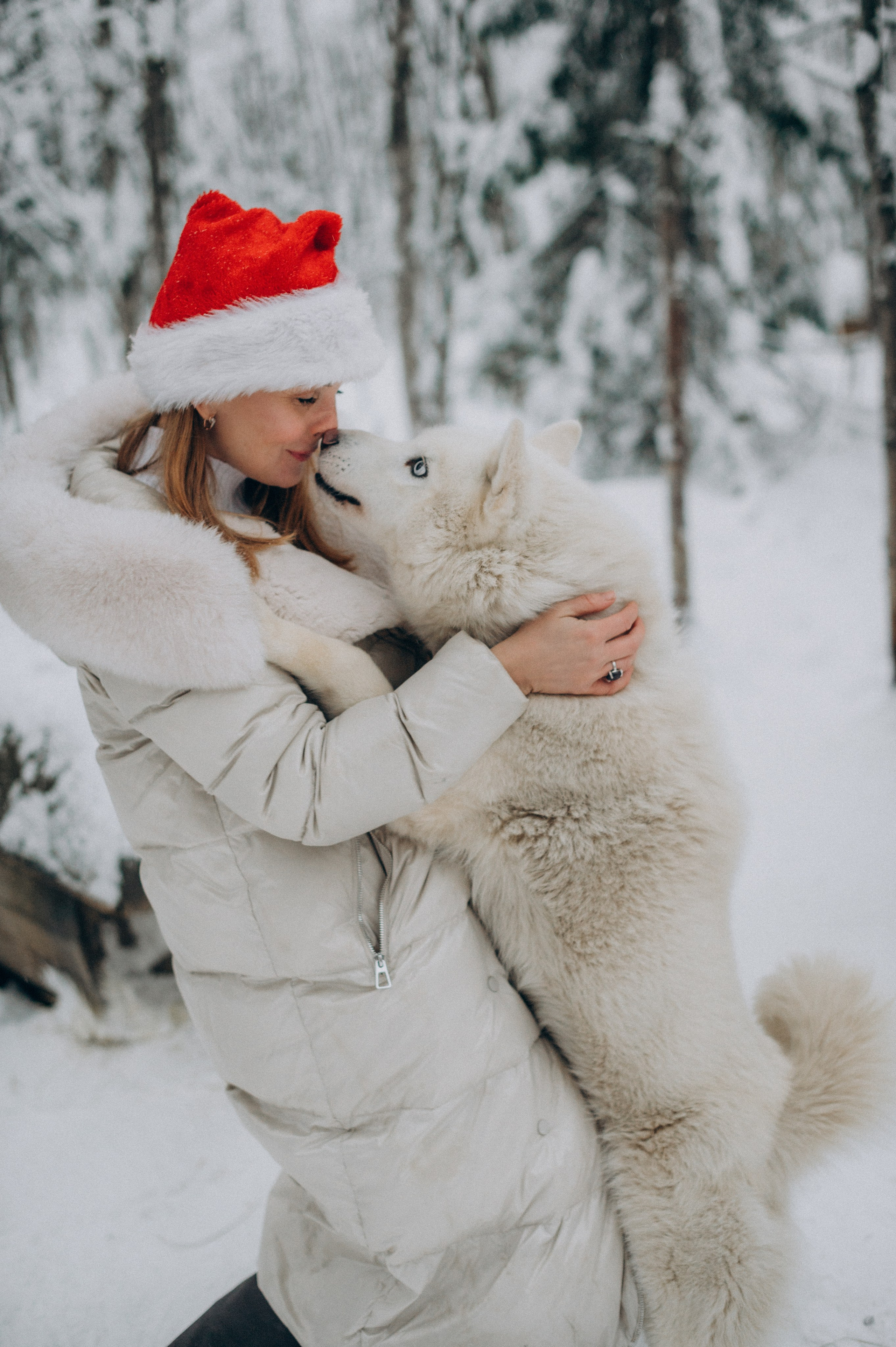 Хаски-терапия. Фотограф Наталья Могилевская Мурманск Териберка Сейдозеро Рыбачий