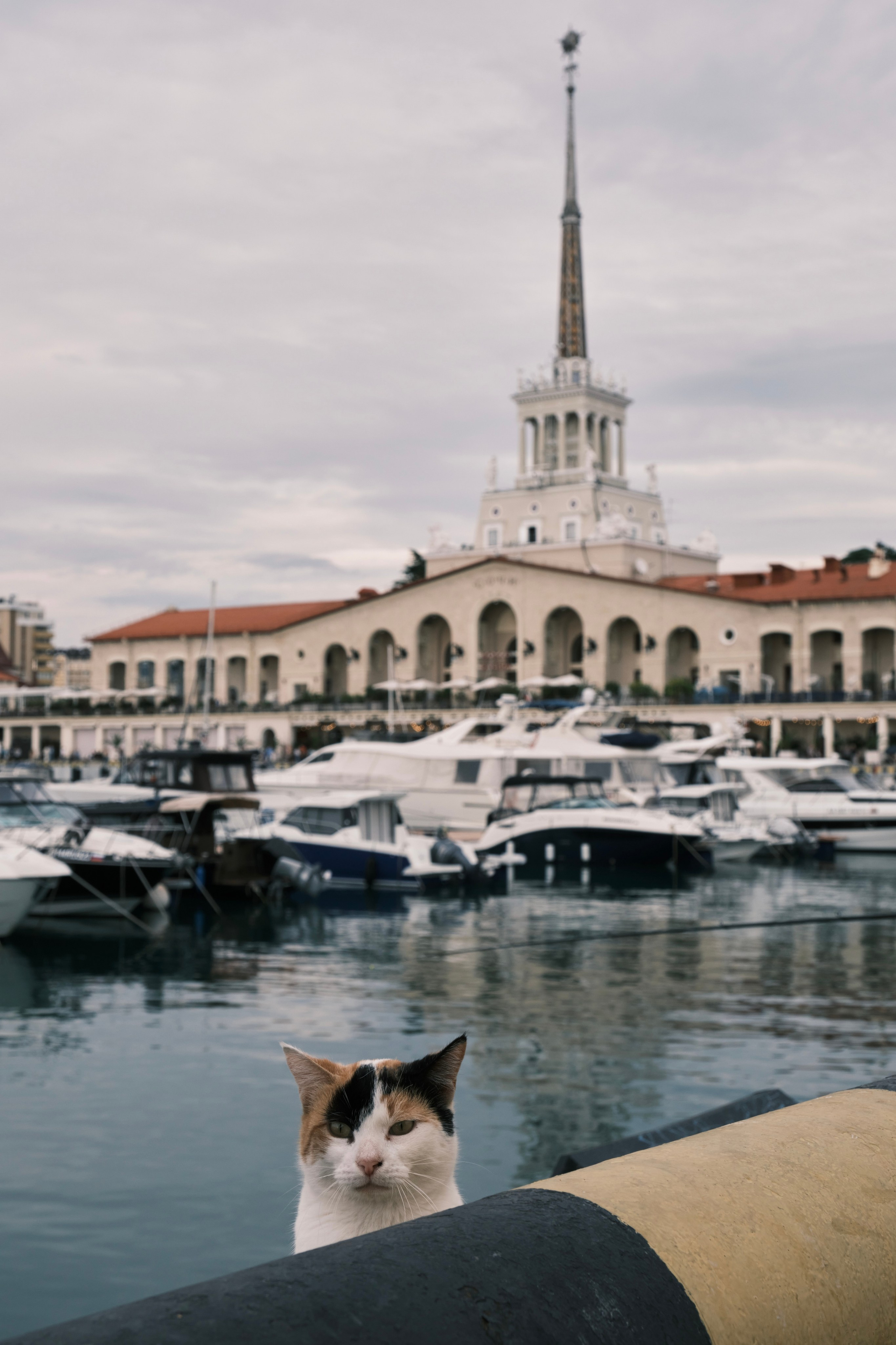 Серия стрит фотографий. IS — Игорь Сержант | Фотография и рисунок