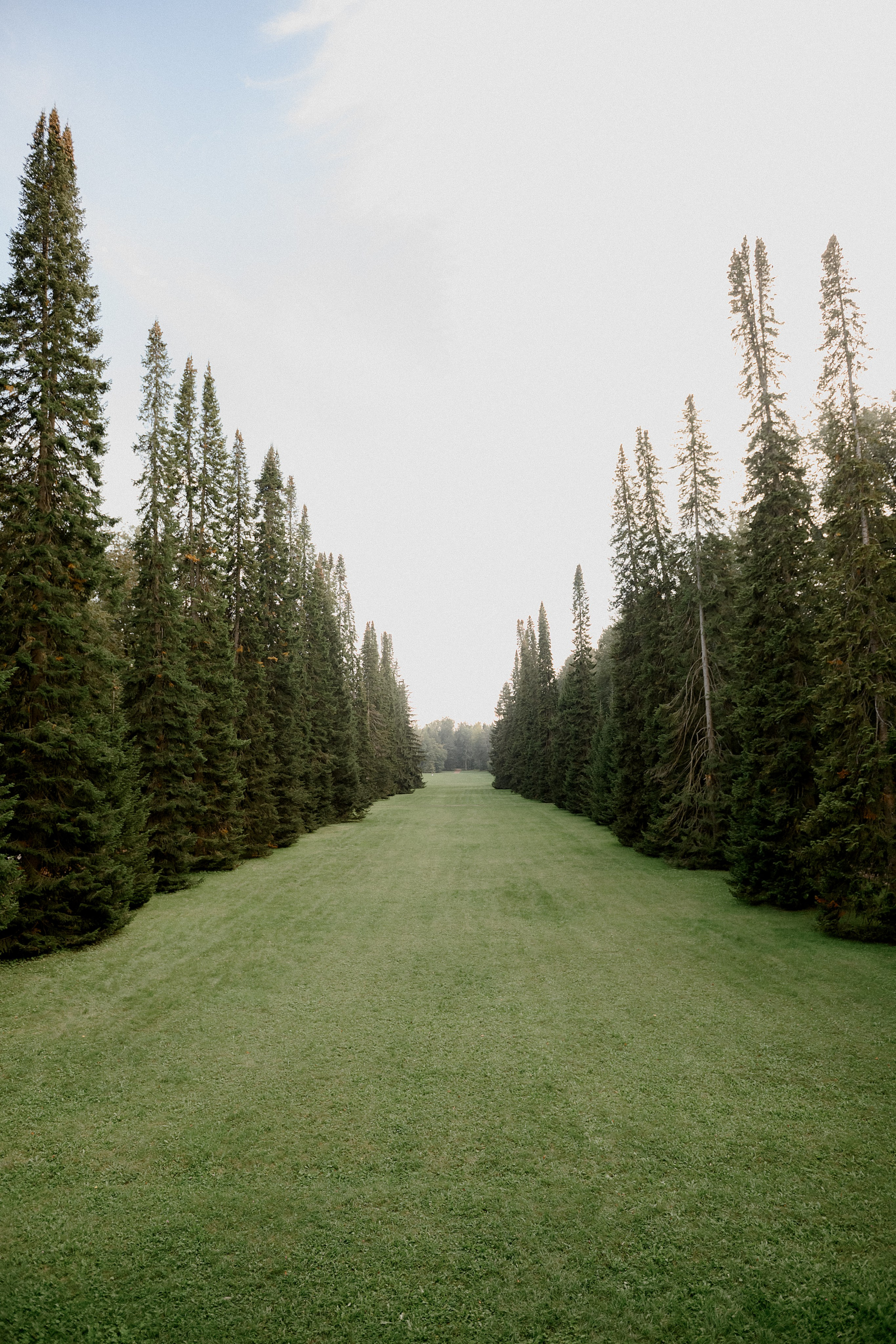 Свадебные серии. Свадебный фотограф Санкт-Петербург  Москва