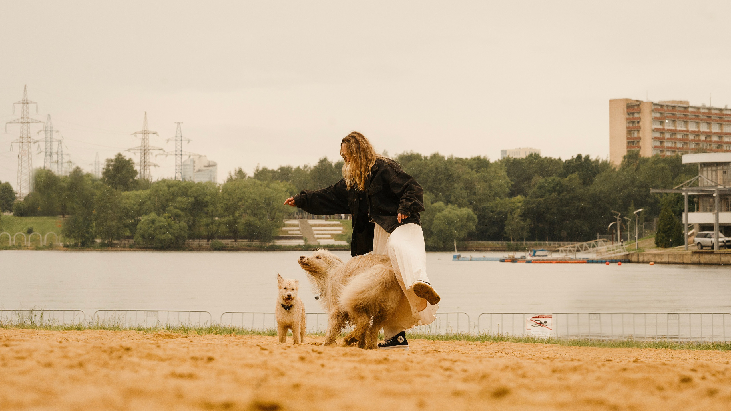 Акиро и Йоши. Фотограф- анималист Александра Матвеева