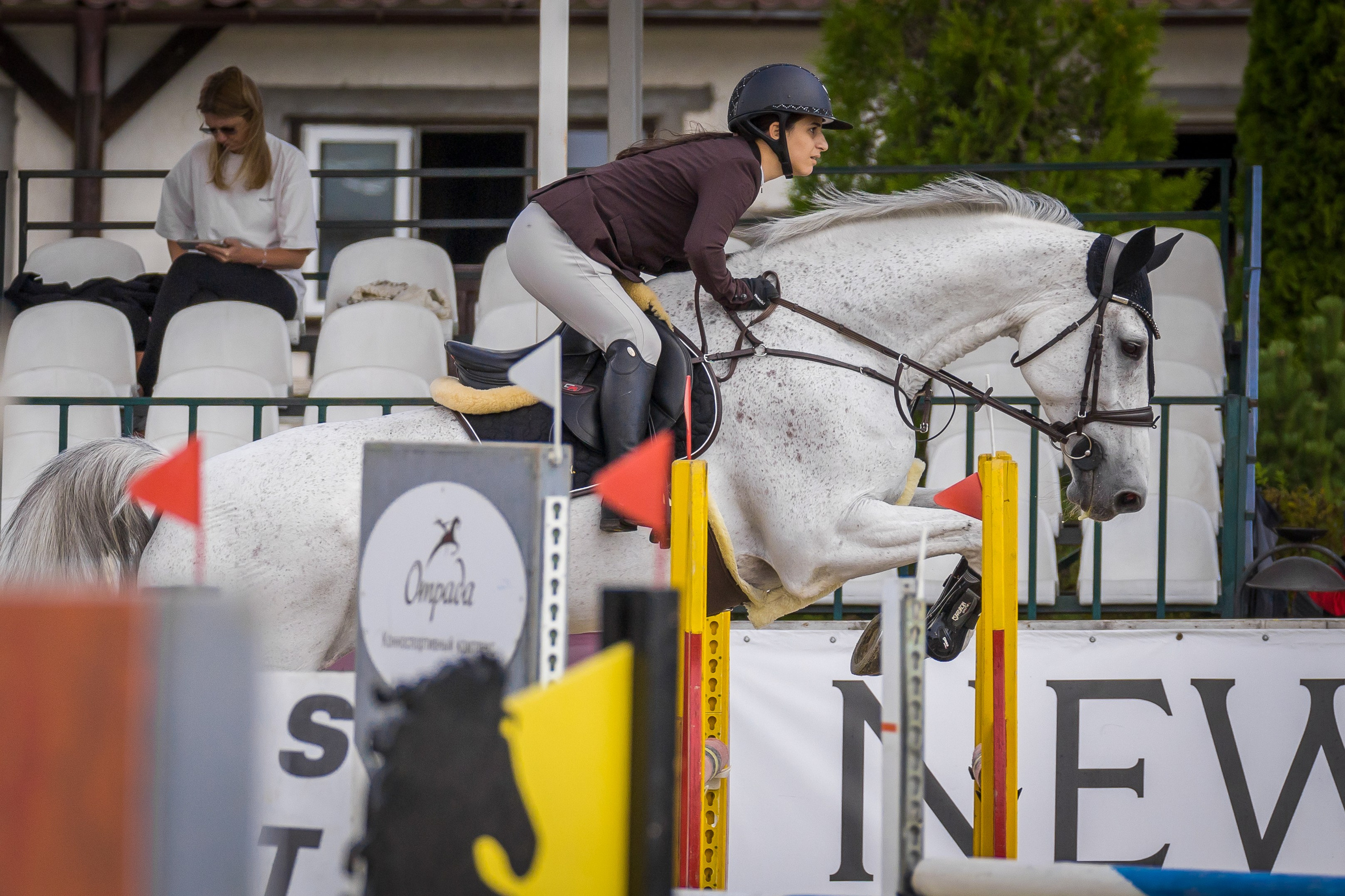 Конный спорт. Photomantis