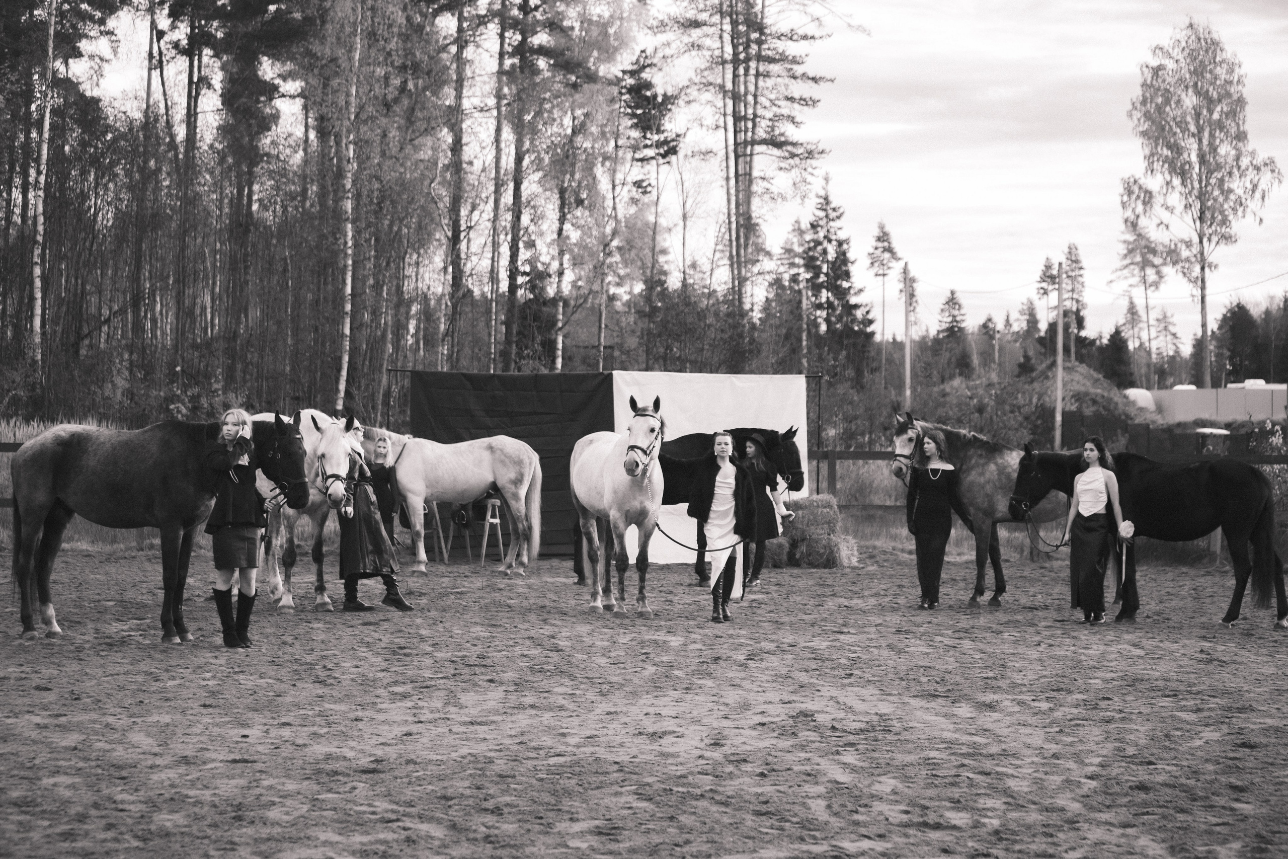 Проект DEFILE. Конный фотограф в Санкт-Петербурге Анна Лебедева