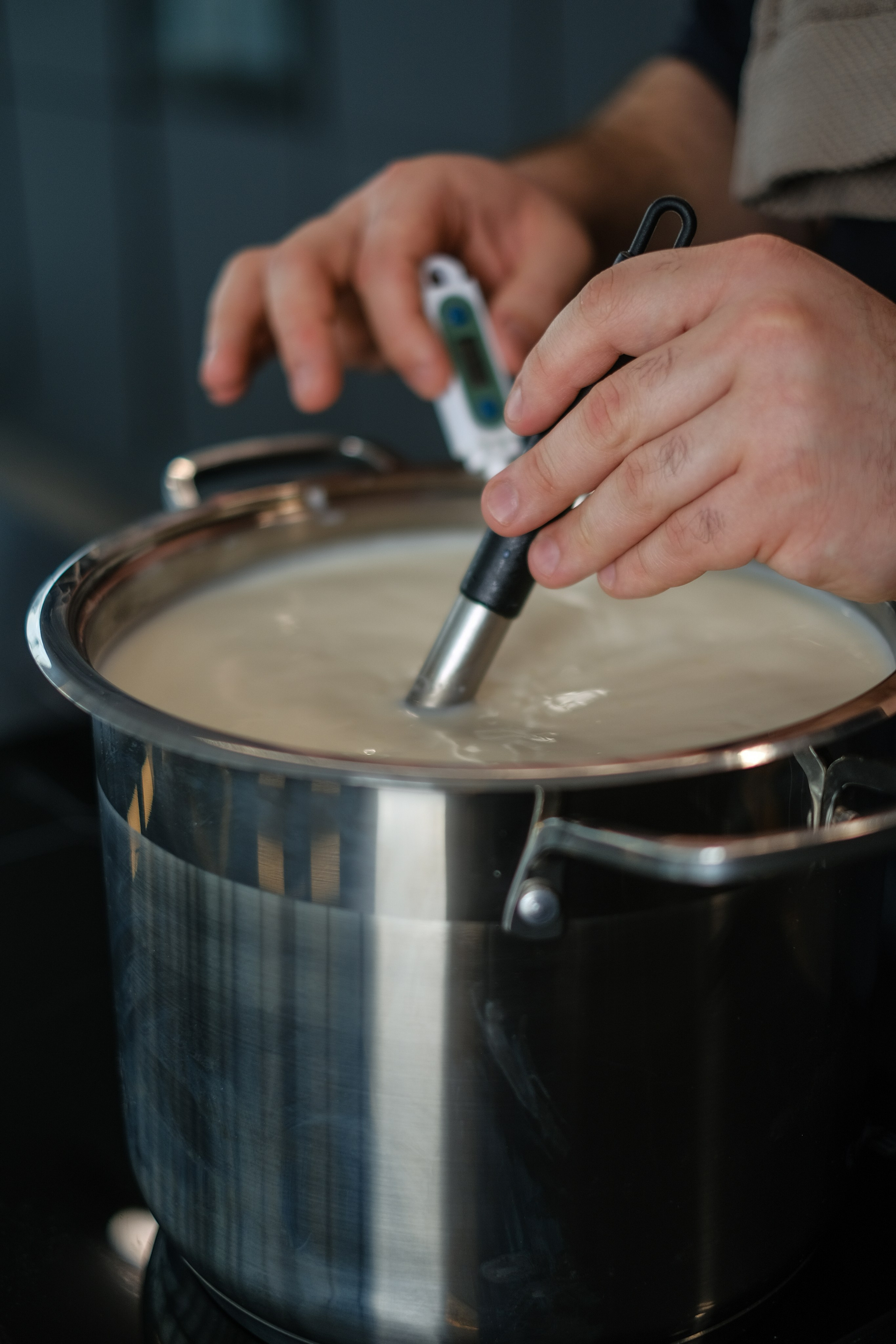 Домашний сыр бренда «TAGA». Портретные и творческие съемки Санкт-Петребург