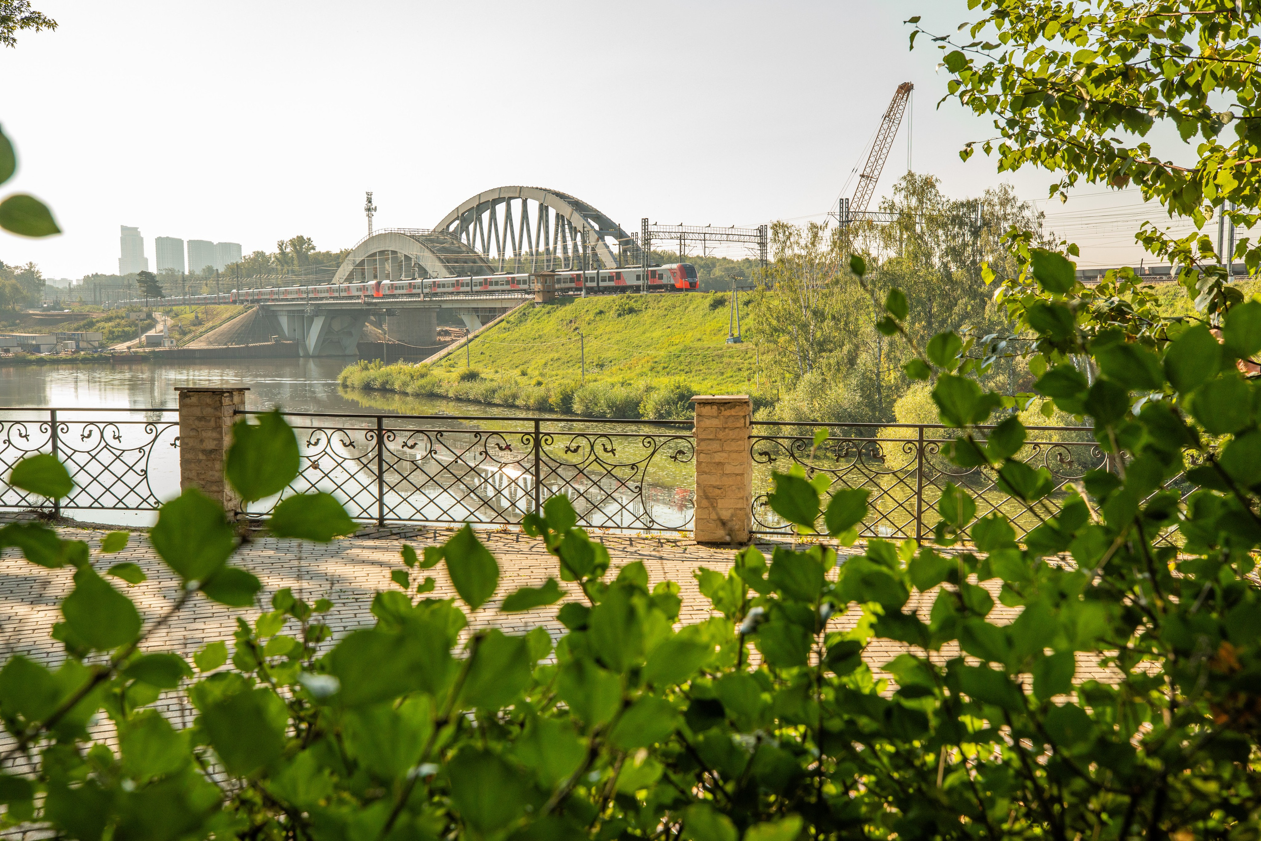 119 забег 5 вёрст Химки 31.08.24. Фотограф Сергей Ловкий