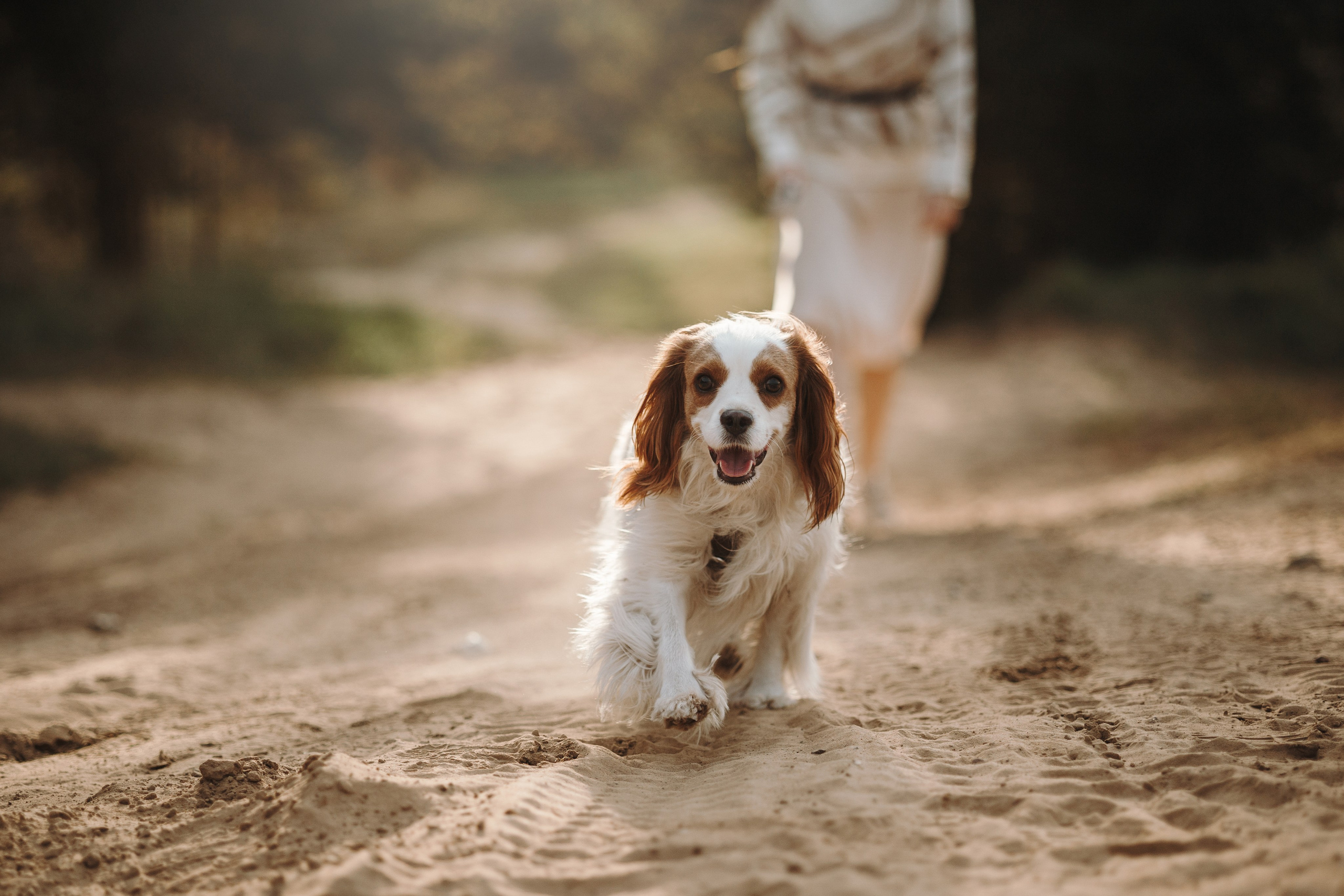 Влада и Белла. Фотограф — Анималист | Санкт-Петербург