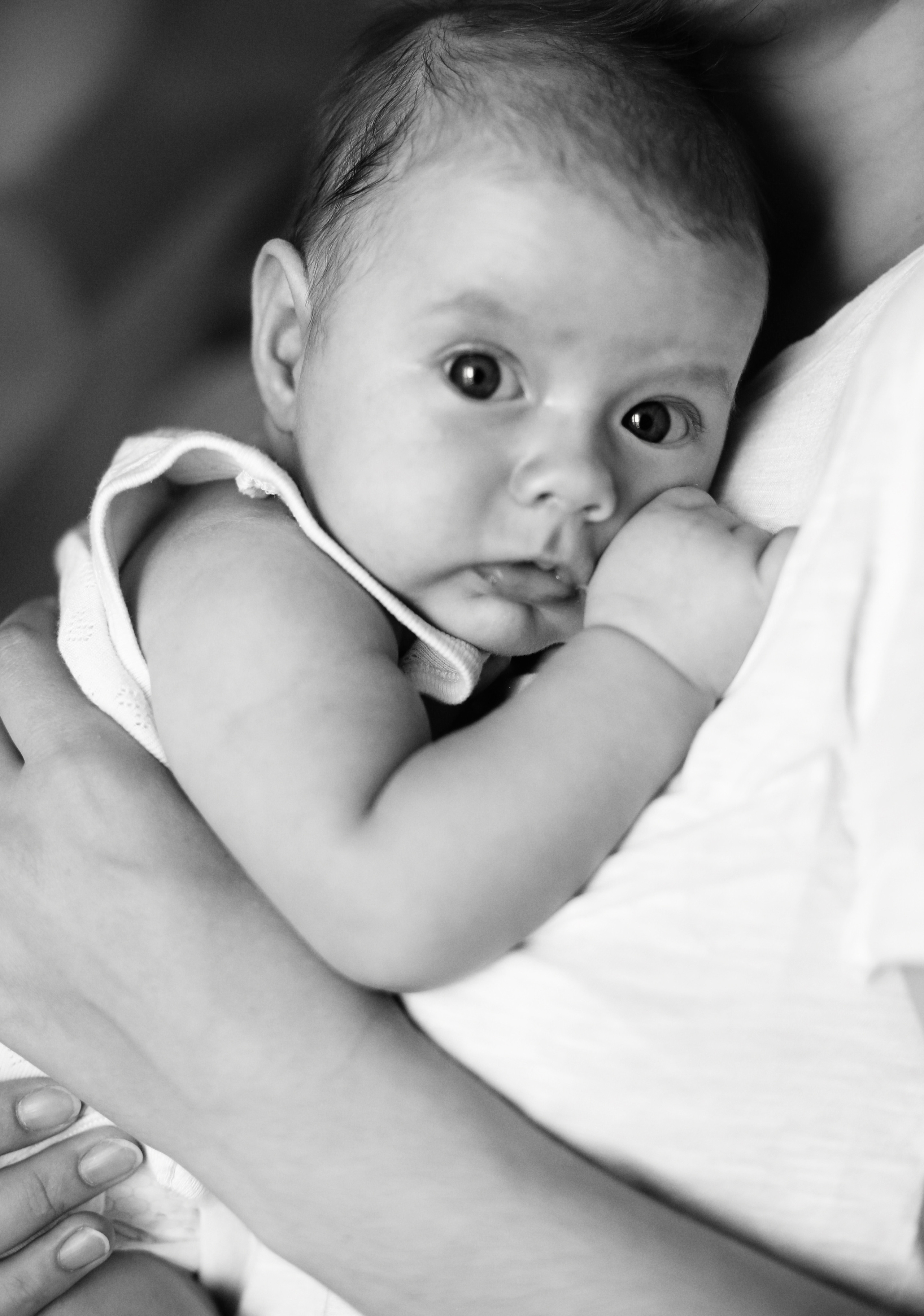 Есения. Фотограф в Волгограде Галина Власенко