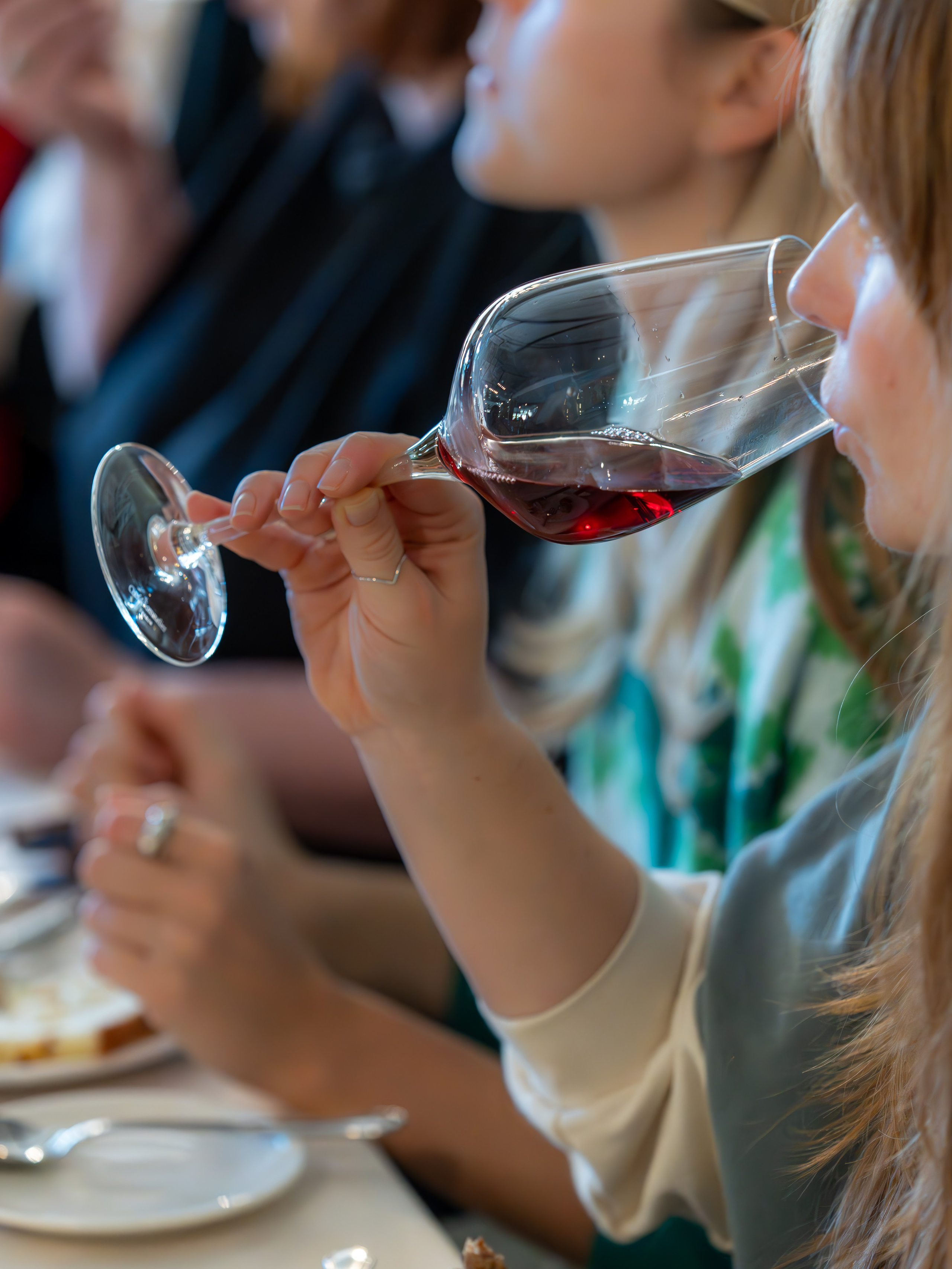 Литературная мастерская с Ольгой Шутовой в «Винотеррии». Репортажный фотограф в Красной Поляне и Сочи Павлюченко Екатерина