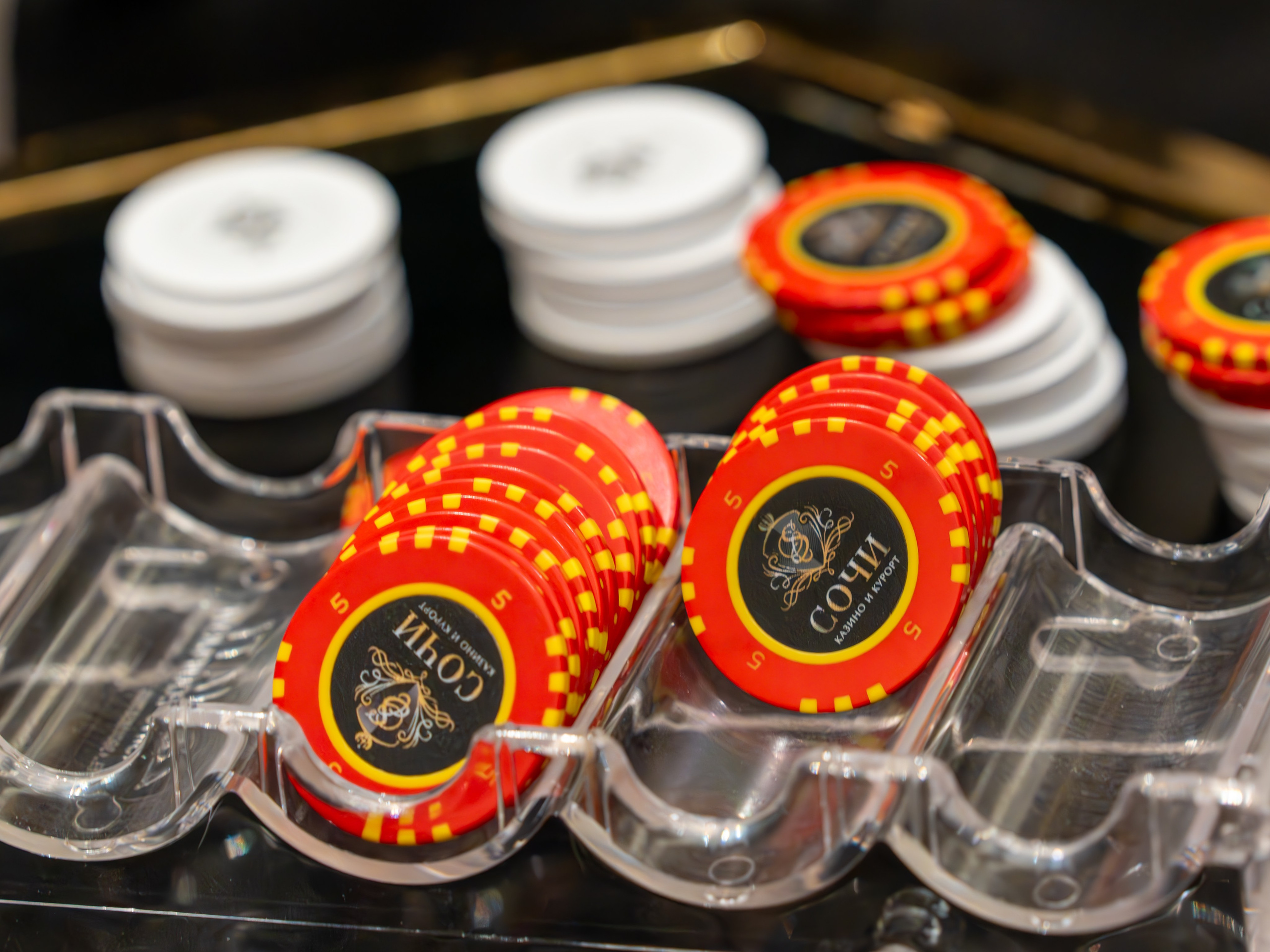 MICE мероприятие для компании «Базис». Репортажный фотограф в Красной Поляне и Сочи Павлюченко Екатерина