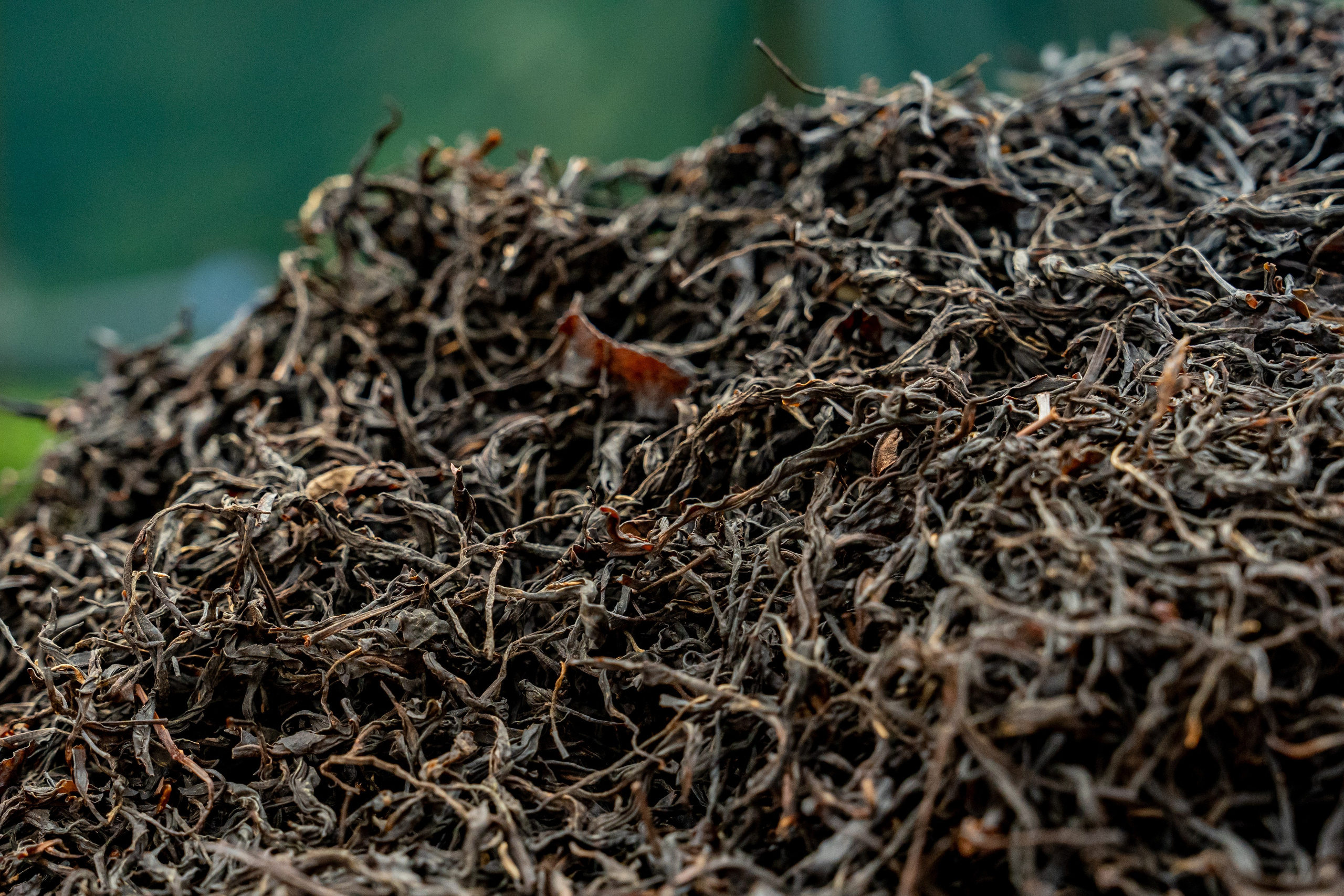 Яндекс.Еда — Сочинский чай. Репортажный фотограф в Красной Поляне и Сочи Павлюченко Екатерина