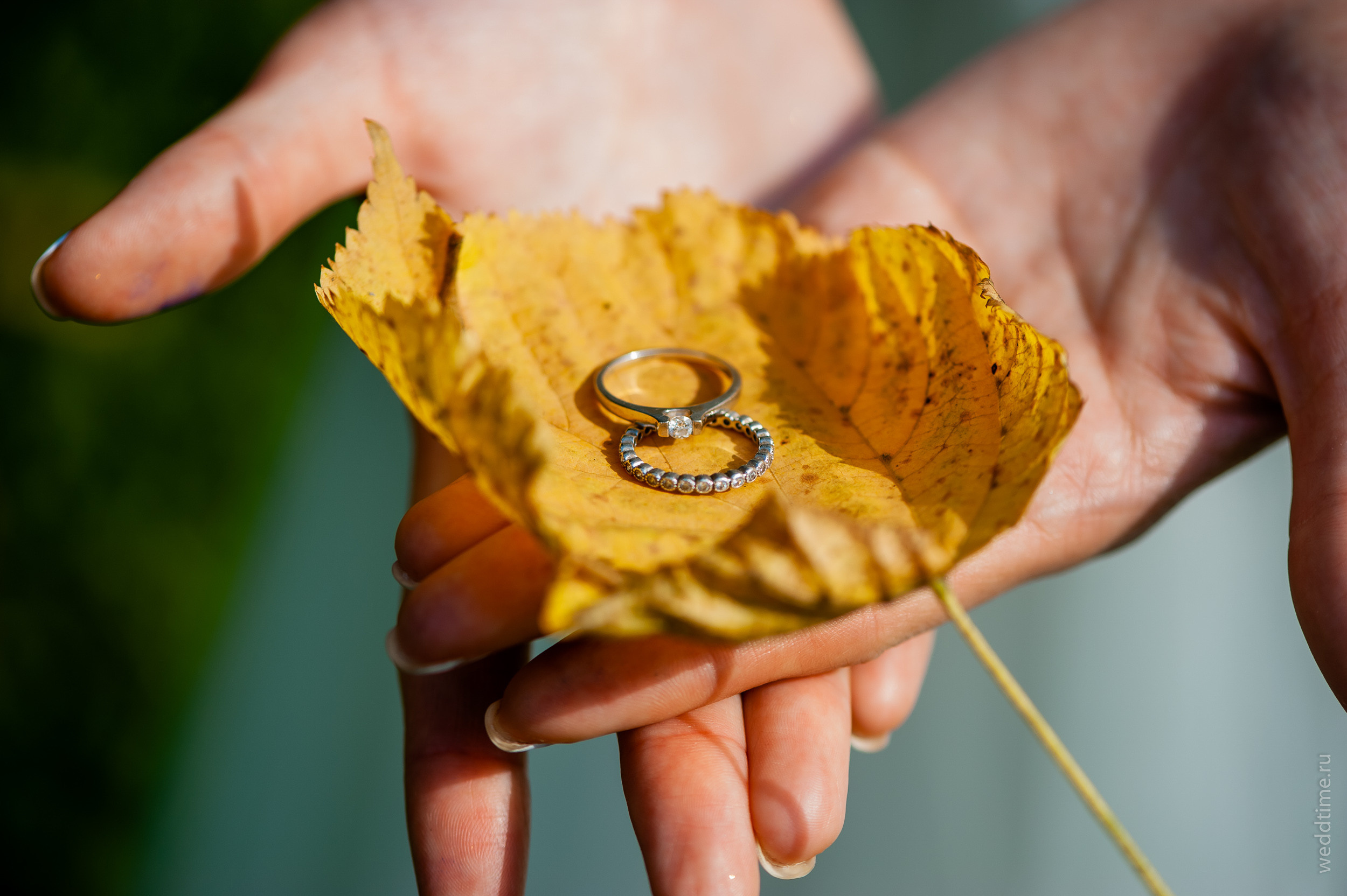 Михаил и Катя