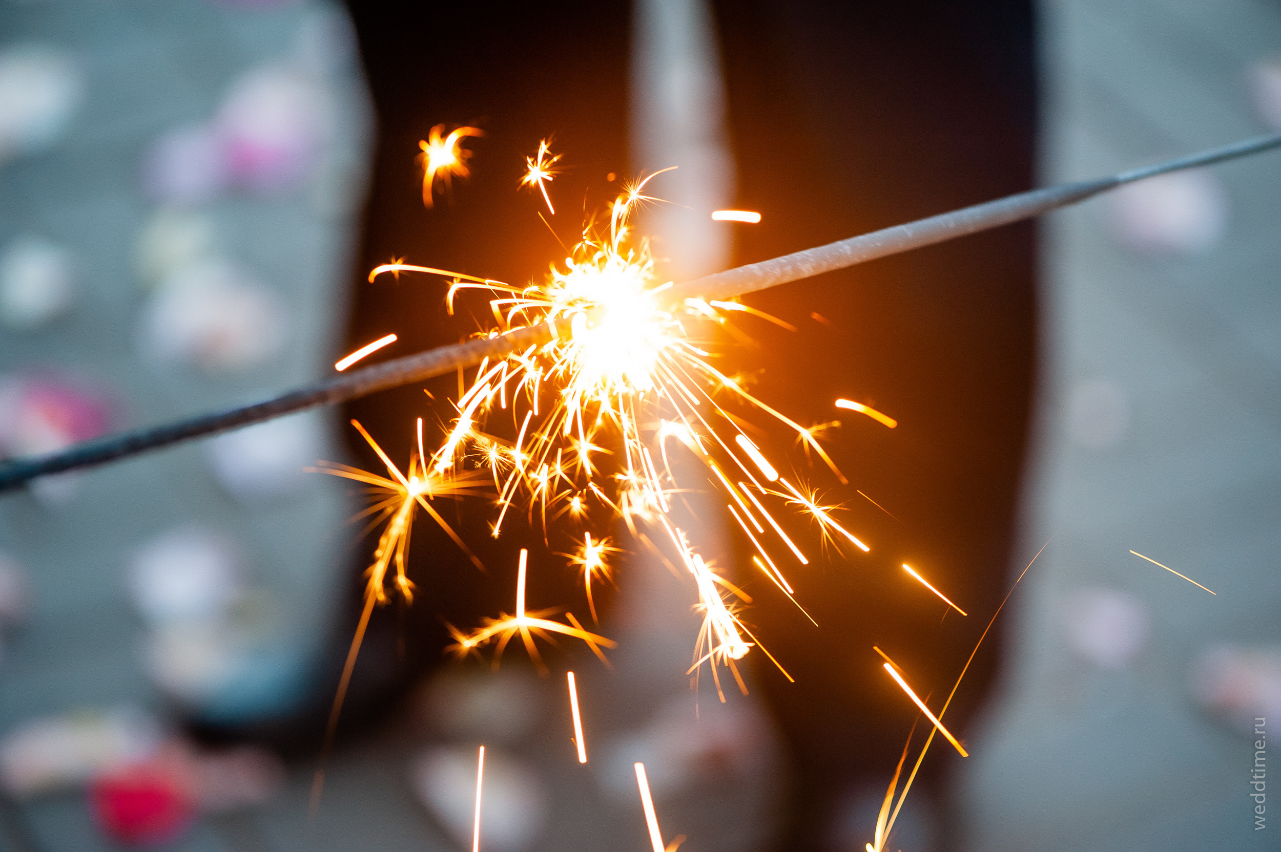 Михаил и Катя