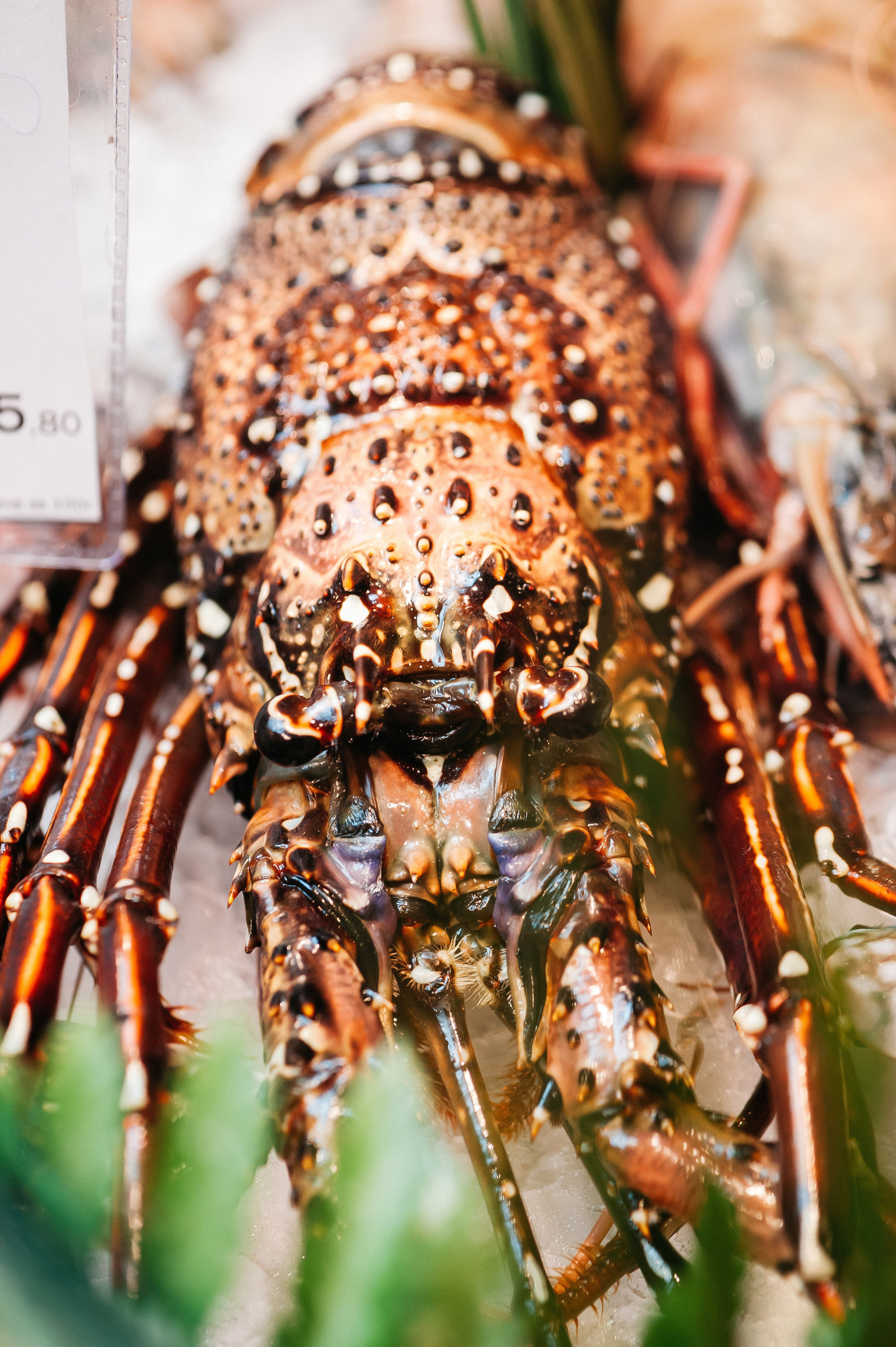 Азбука вкуса