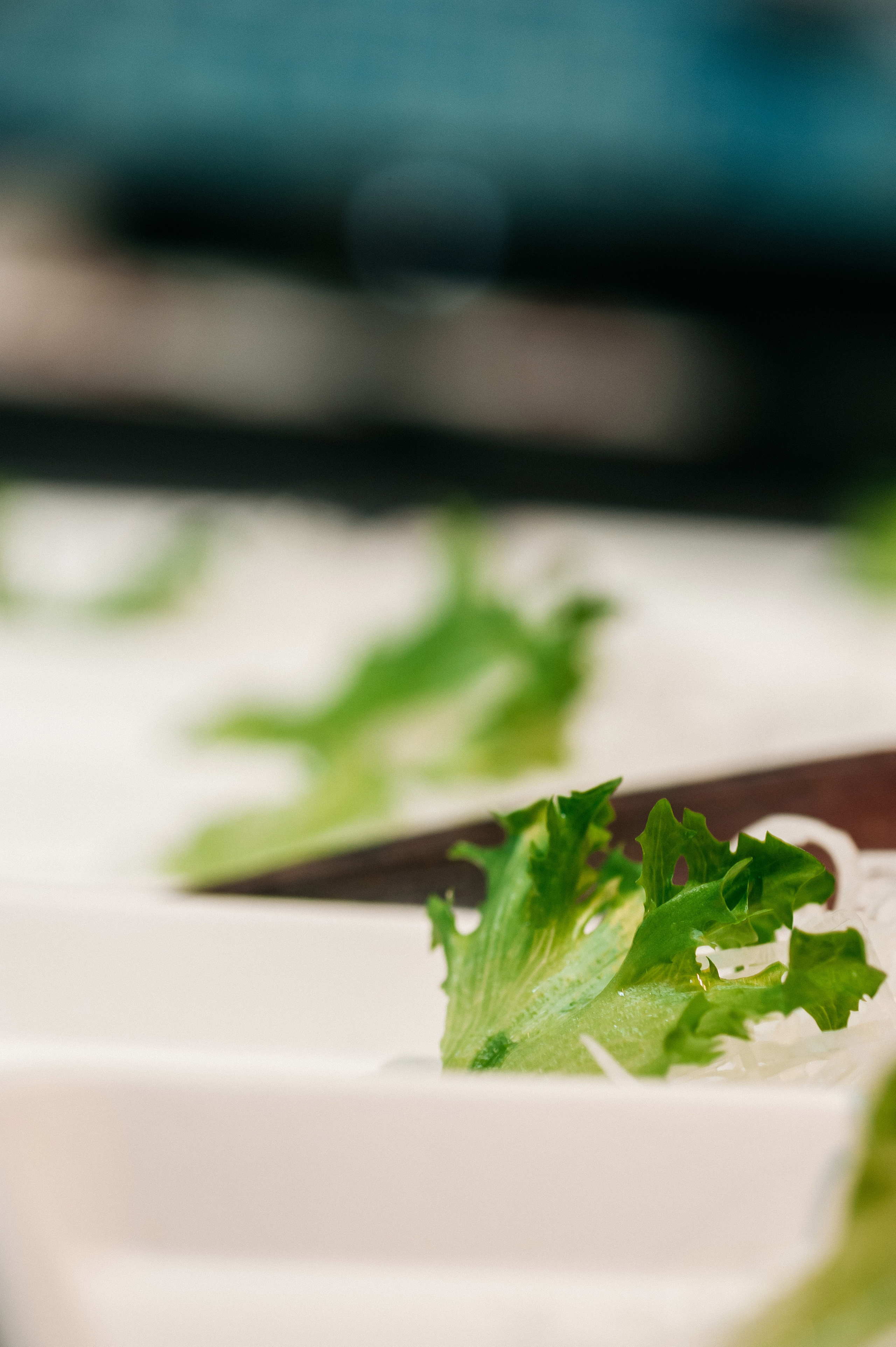 Азбука вкуса