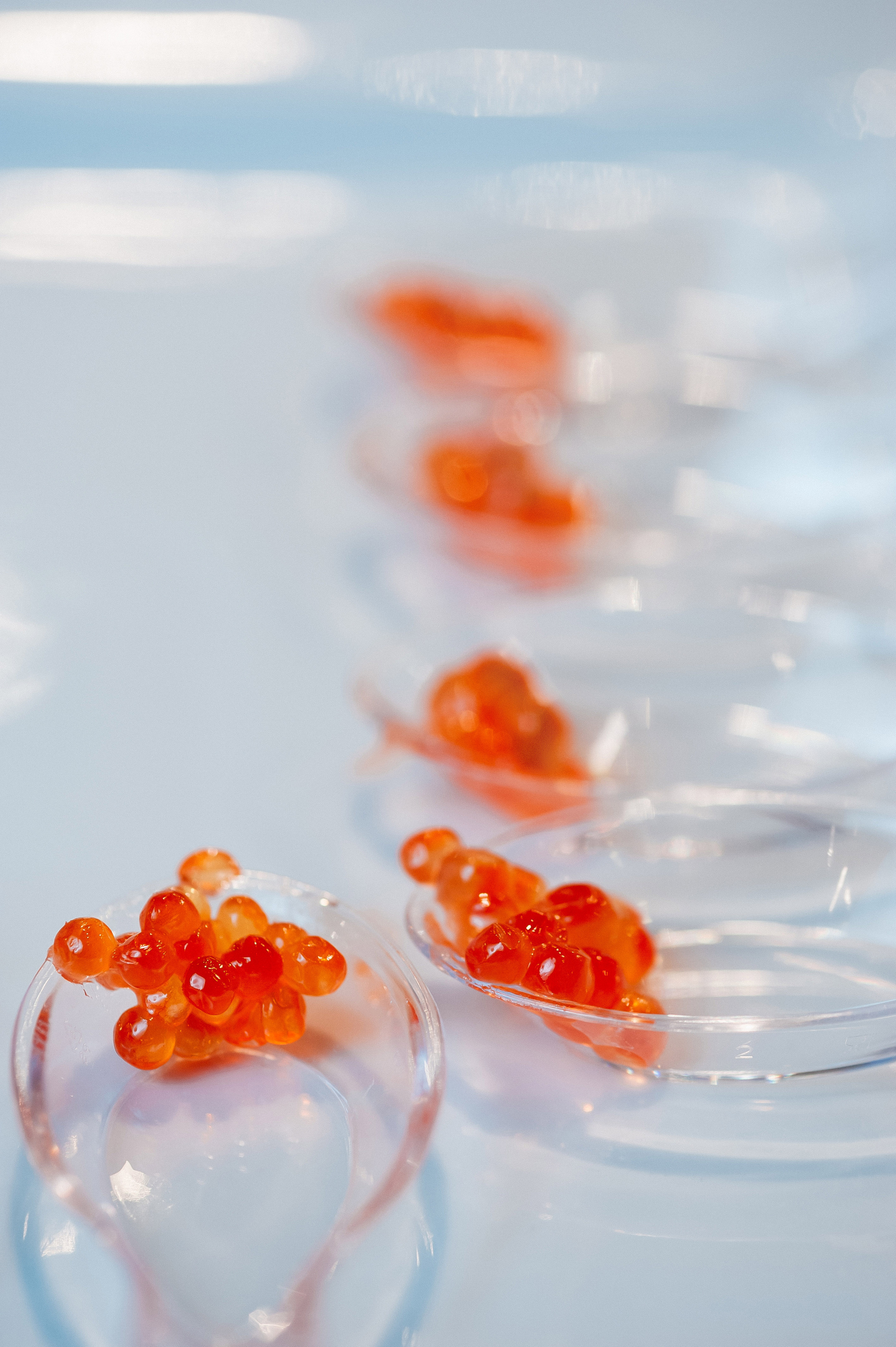 Азбука вкуса