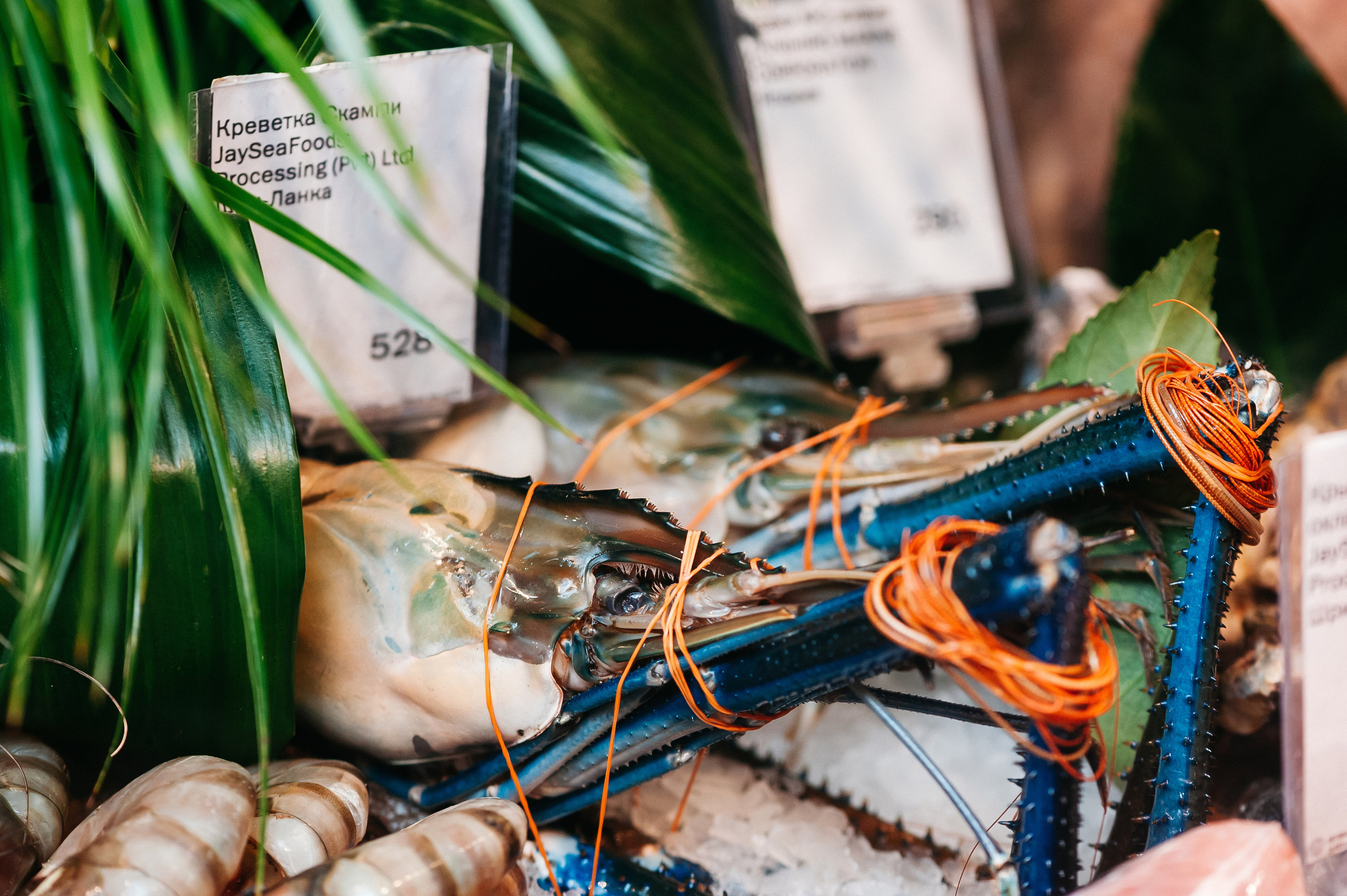 Азбука вкуса