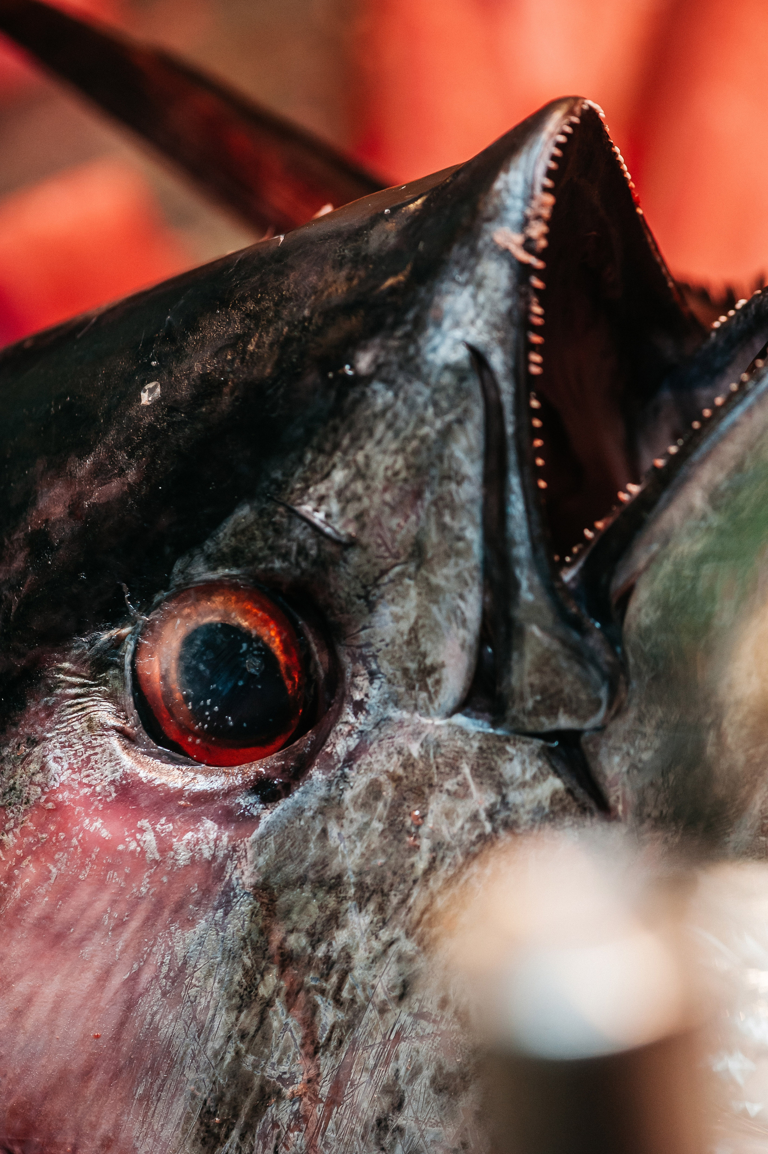 Азбука вкуса