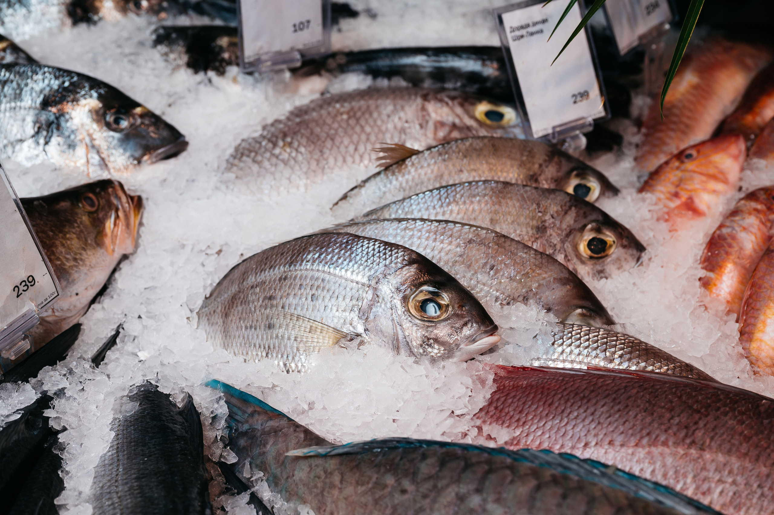 Азбука вкуса