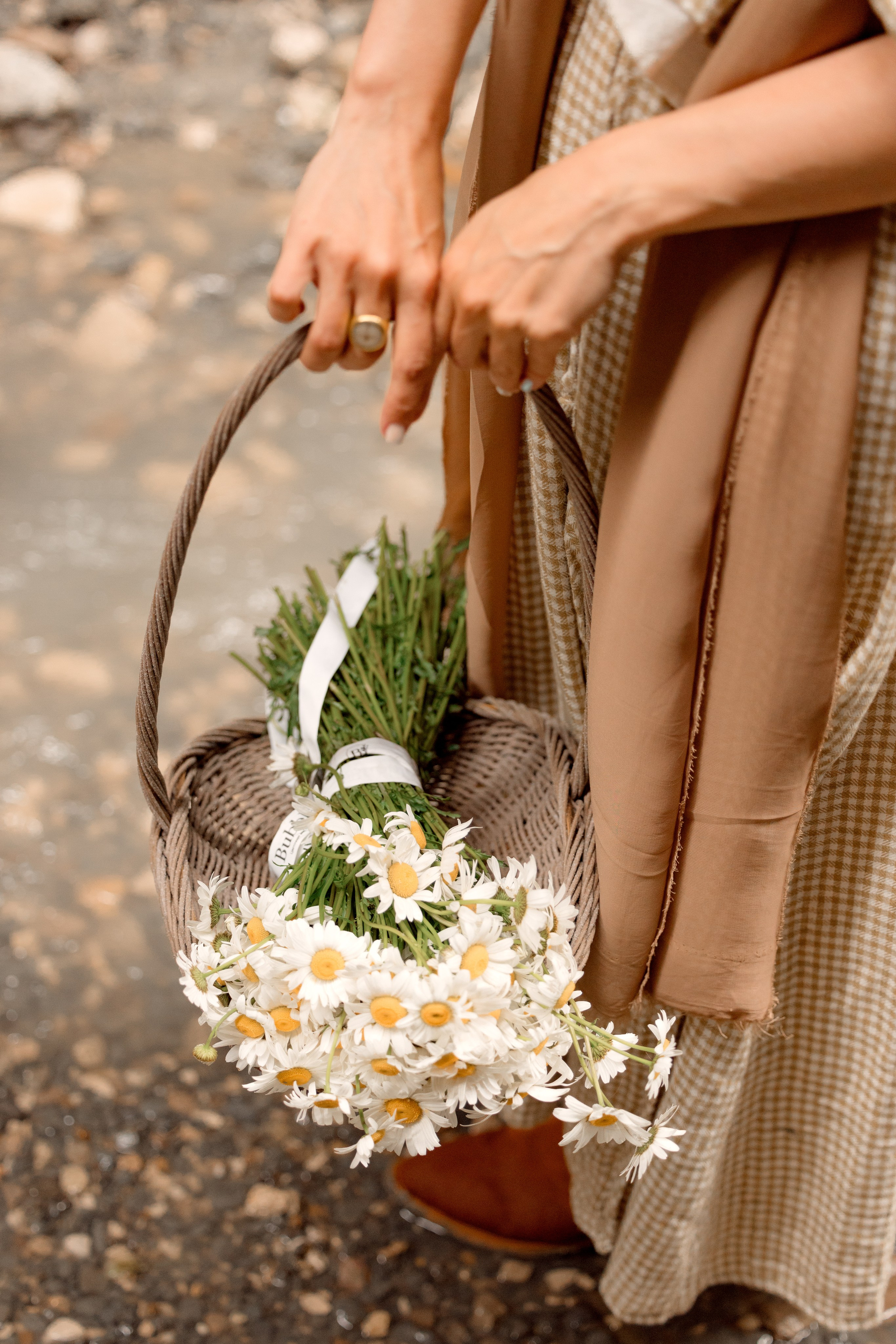 Портфолио бренд-фотографа — фотосъёмка людей в Москве и области. Фотограф-анималист и бренд-фотограф в Москве | Фотография собак, людей, бизнес-портрет