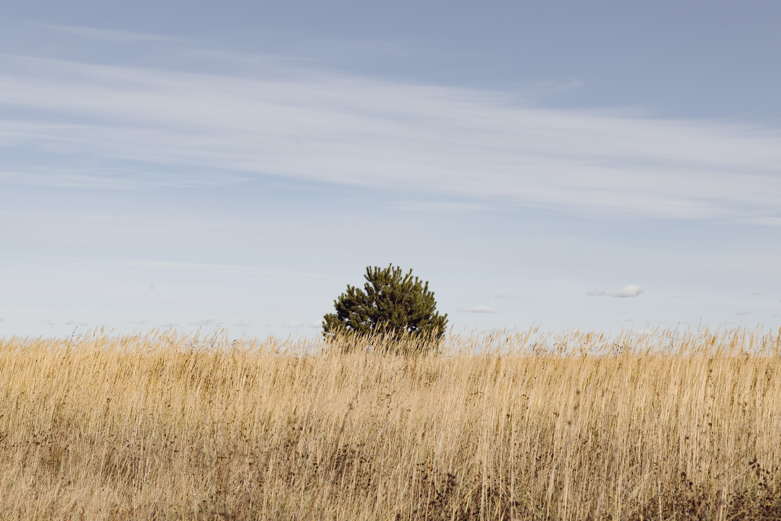 Пейзаж. Фотограф Александр Тихонов